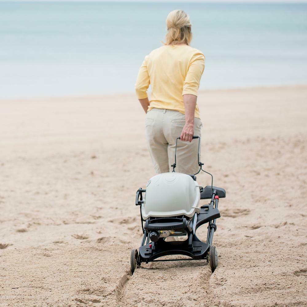 Weber 18107 Q 1200 1-Burner Portable Propane Gas Grill Combo in Black with Rolling Cart and iGrill Mini