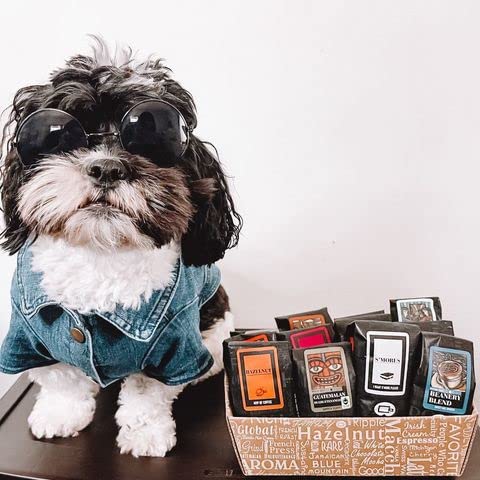 Indulgent Coffee Selection Gift Box | 100% Specialty Arabica Coffee | 12 Flavored 1.75oz Try-Me-Size one pot coffee samplers