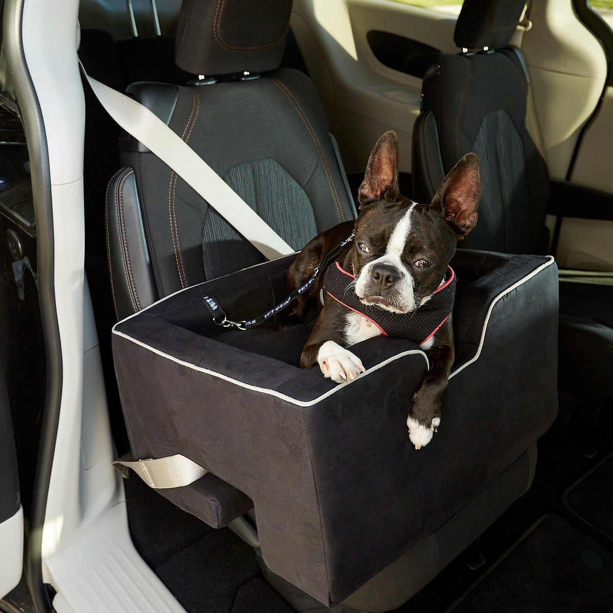Pet Gear Large Car Booster. Removable Comfort Pillow. Safety Tether Included. Installs in Seconds. No Tools Required. Large. Black
