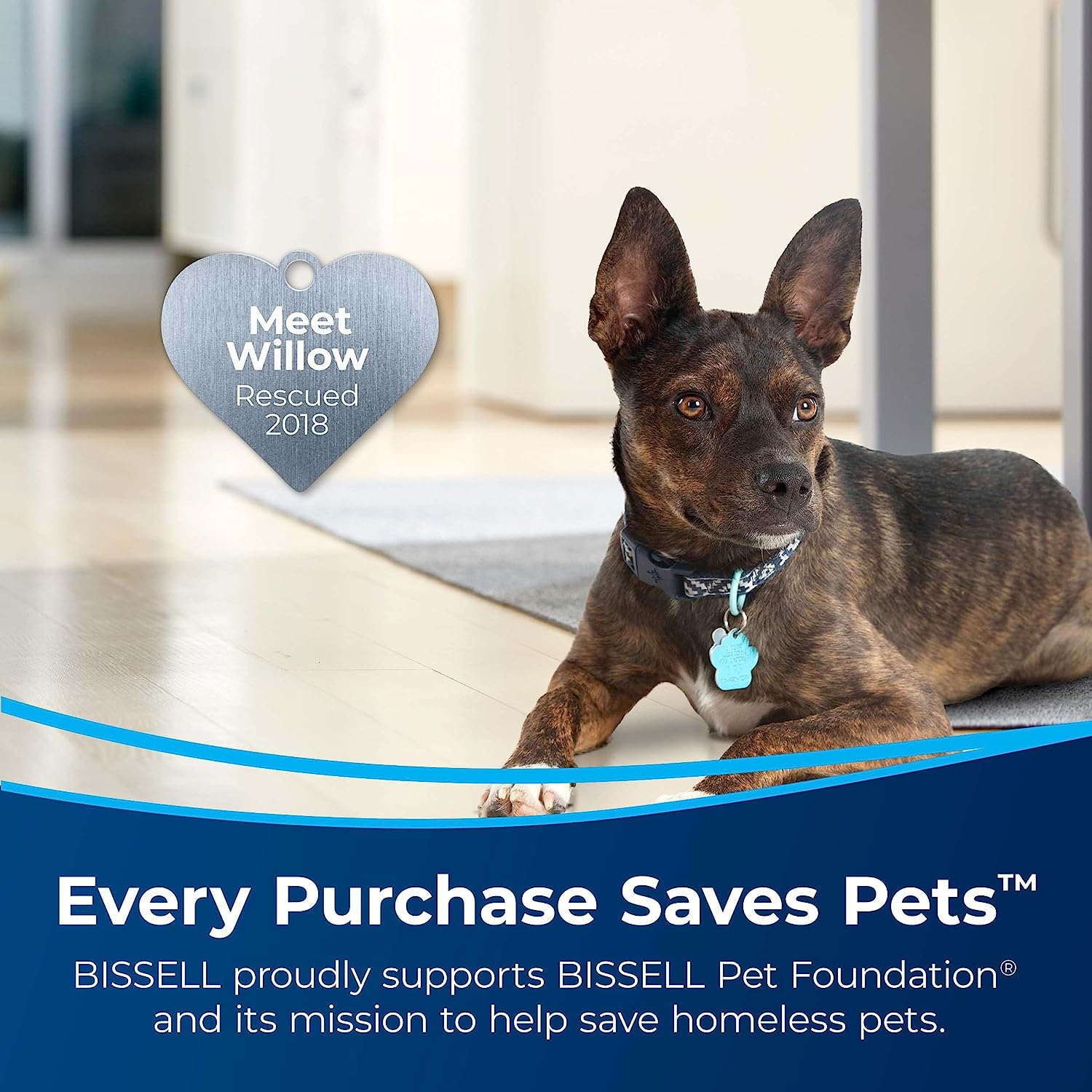 BISSELL Little Green Multi-Purpose Portable Carpet and Upholstery Cleaner. 1400B