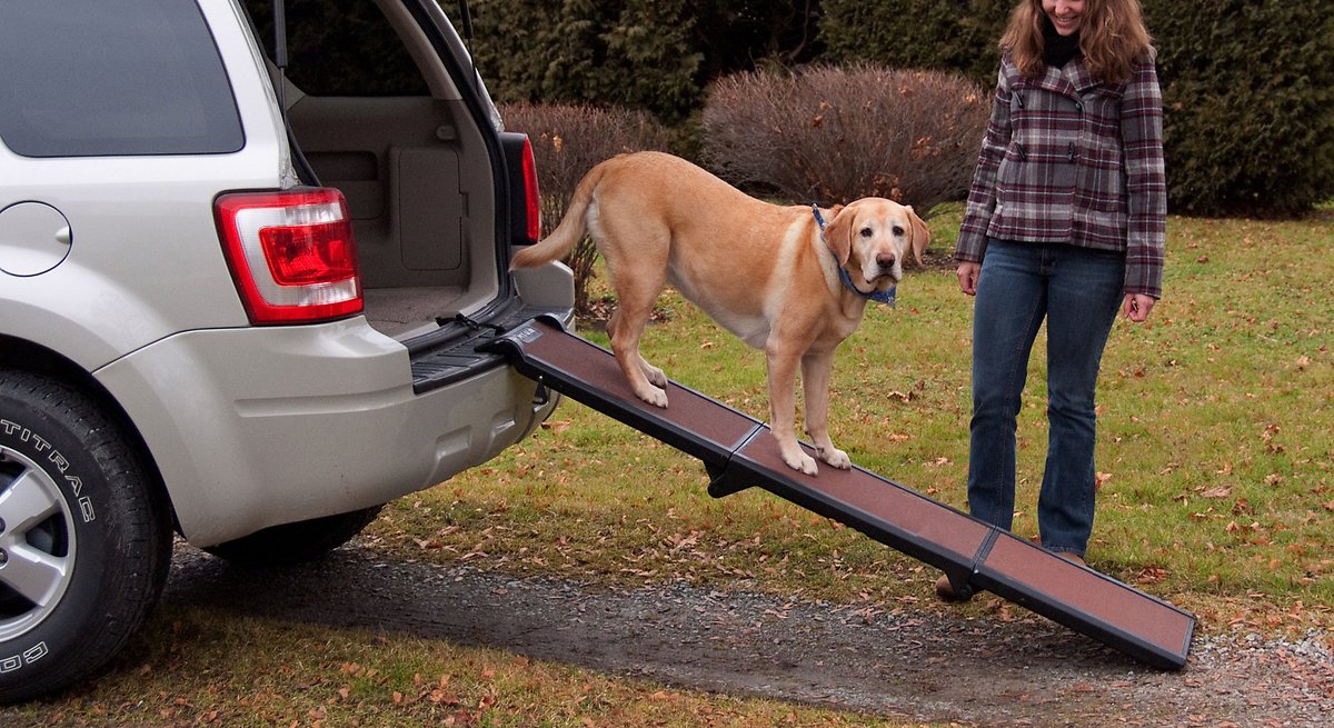 Pet Gear Full Length Tri-Fold Dog Car Ramp. Chocolate / Black