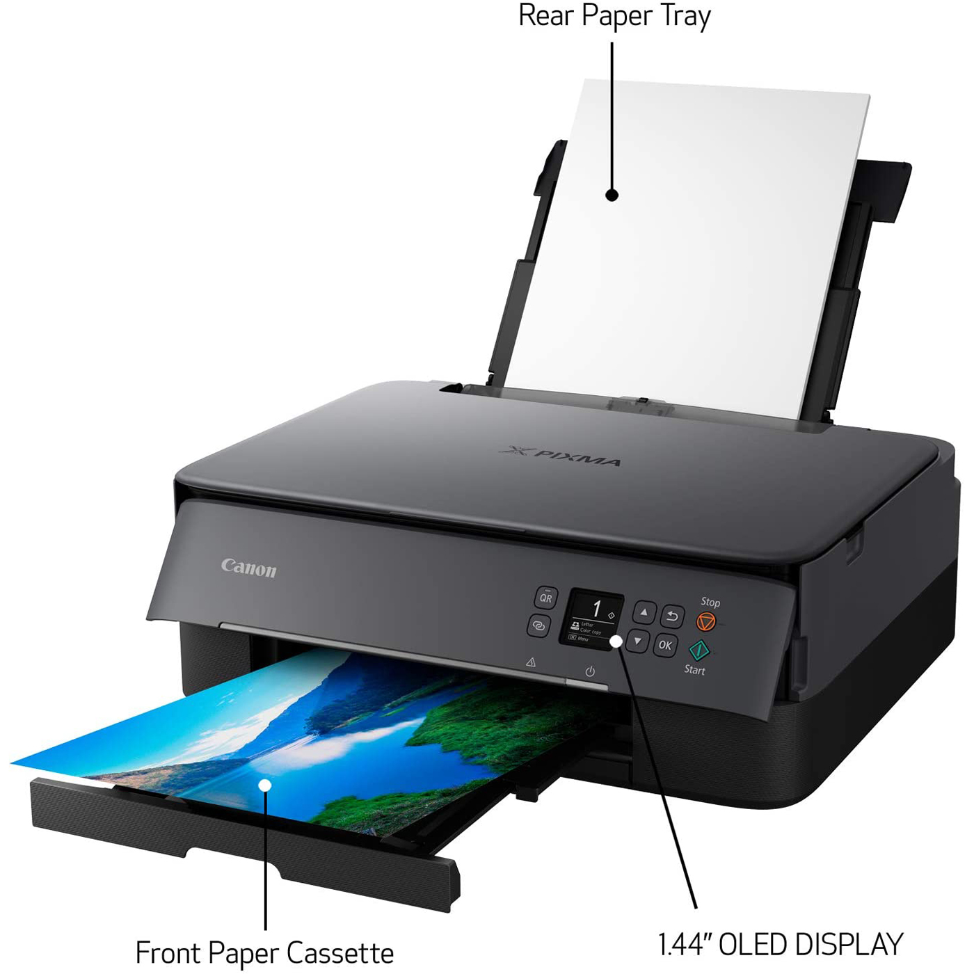 Canon PIXMA TS6420 All-in-One c with Print. Scan. Copy. Photo Print & Mobile Functions Bundle with DGE USB Cable + Small Business Productivity Software Kit