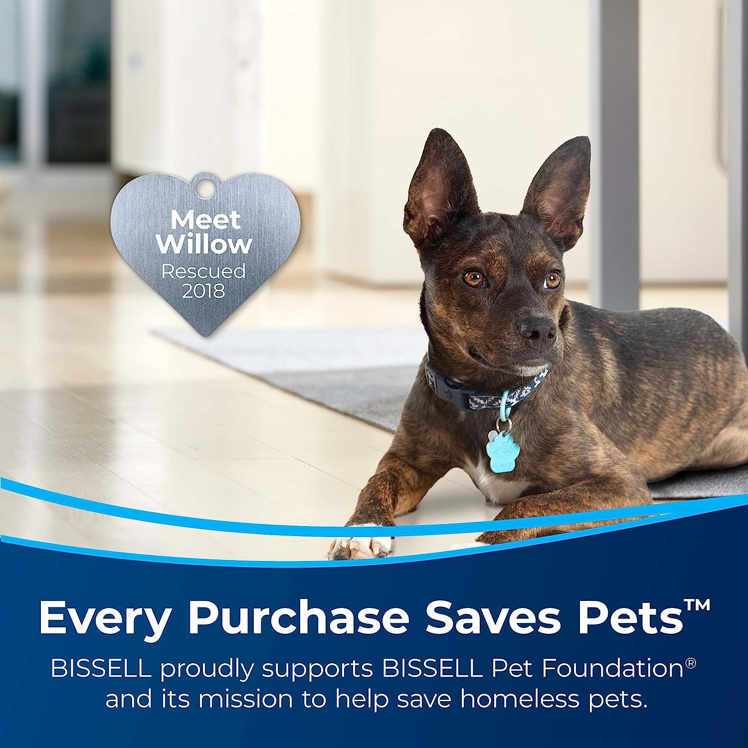 Bissell Little Green Pet Deluxe Portable Carpet Cleaner. 3353. Large. Gray/Blue