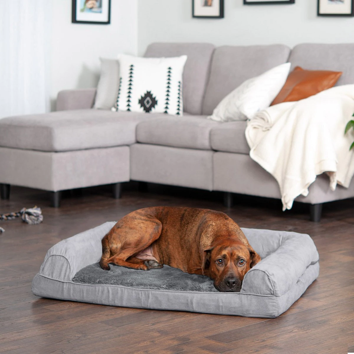 FurHaven Plush & Suede Full Support Orthopedic Sofa Dog & Cat Bed. Gray. Large