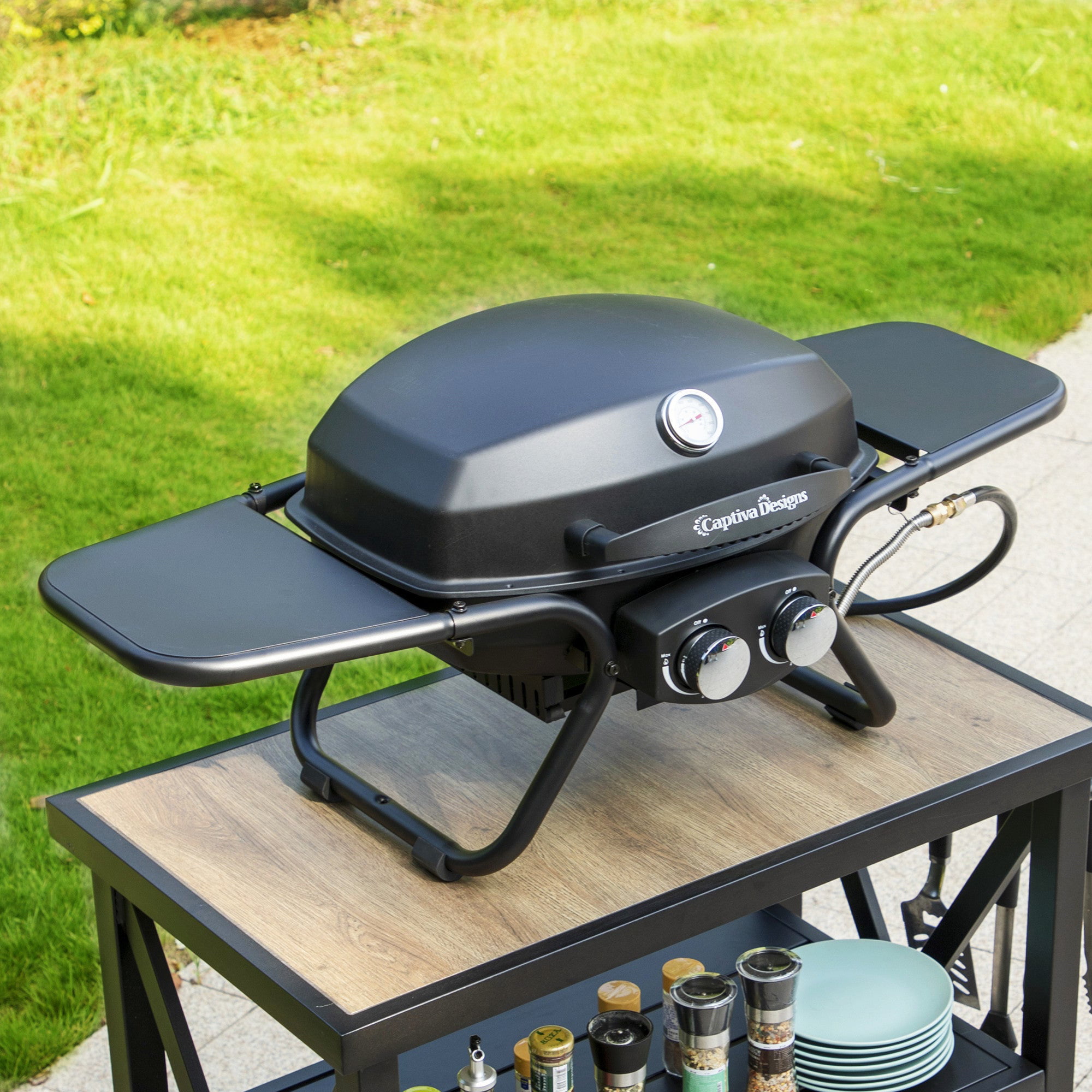 Sophia & William 2 Burner 15.000 BTU Portable Propane Gas Grill