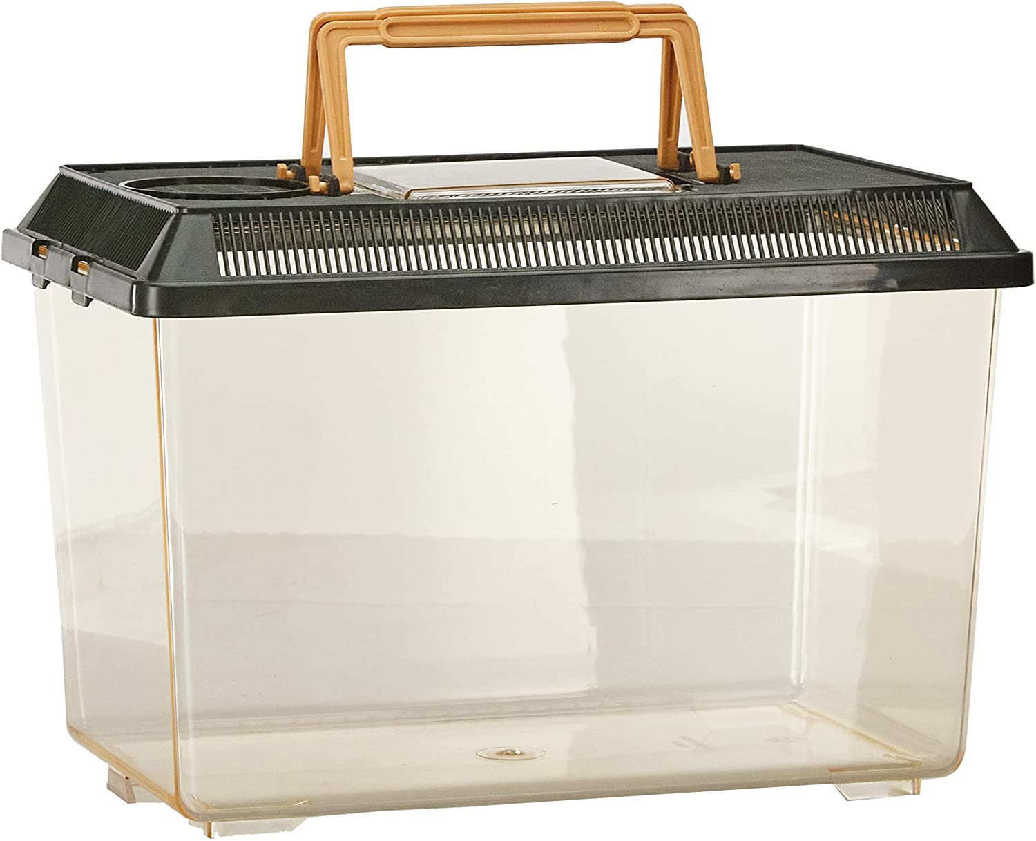 Exo Terra Faunarium. Plastic Reptile Terrarium. Medium