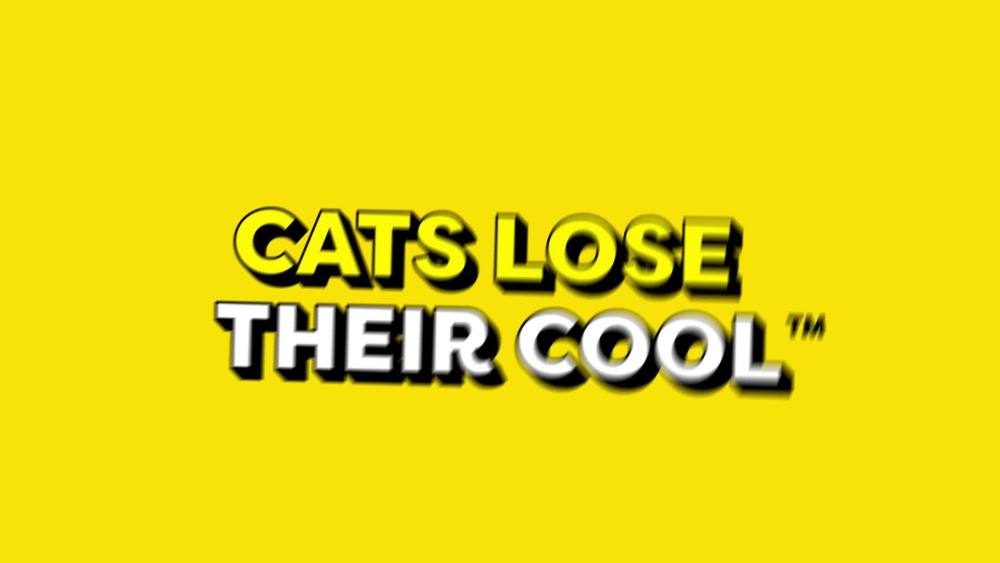 Temptations Chicken Flavor Topper. Crunchy & Soft Treat for Cat. 48 oz.