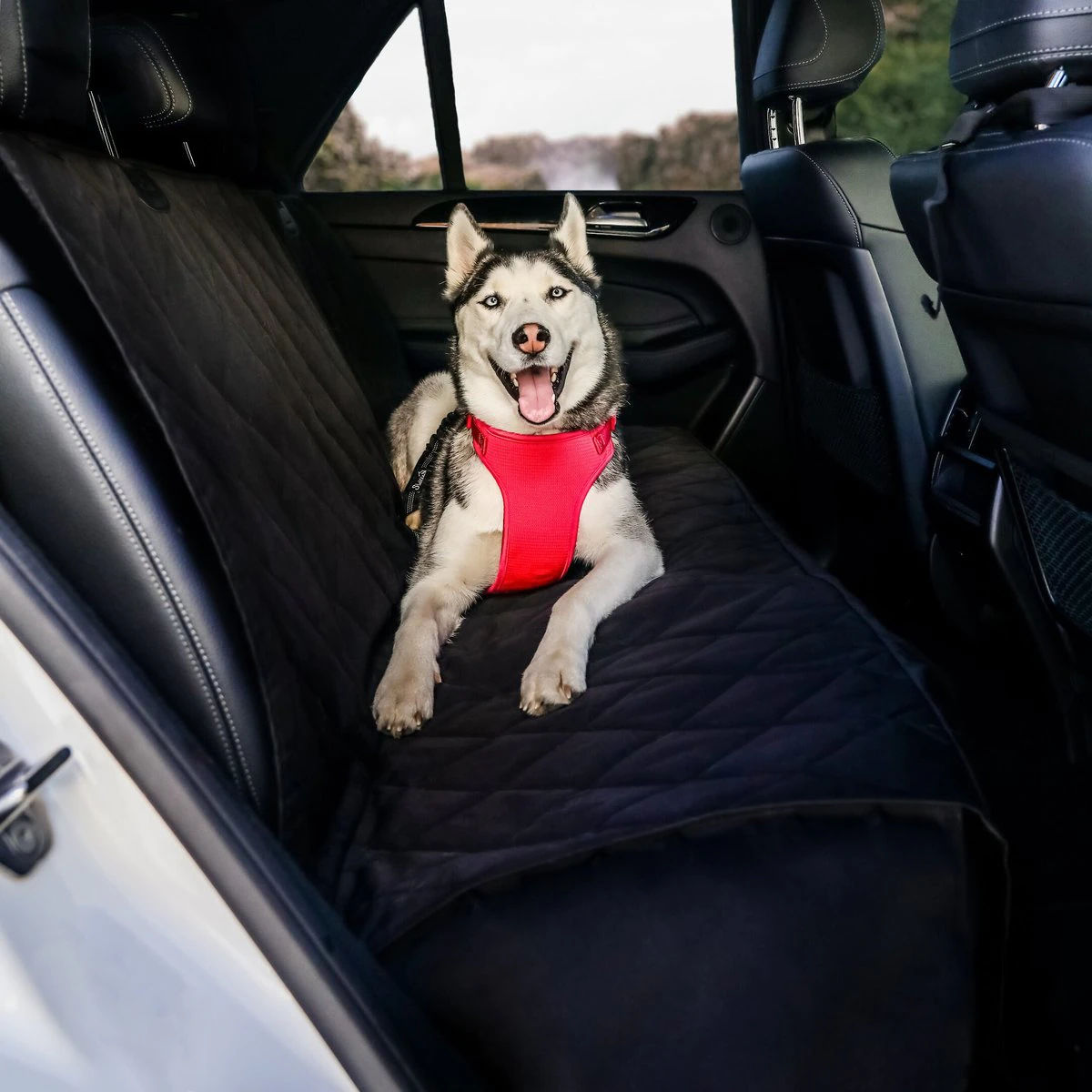 BarksBar Luxury Pet Car Seat Cover with Seat Anchors for Cars. (60″ x 64″)