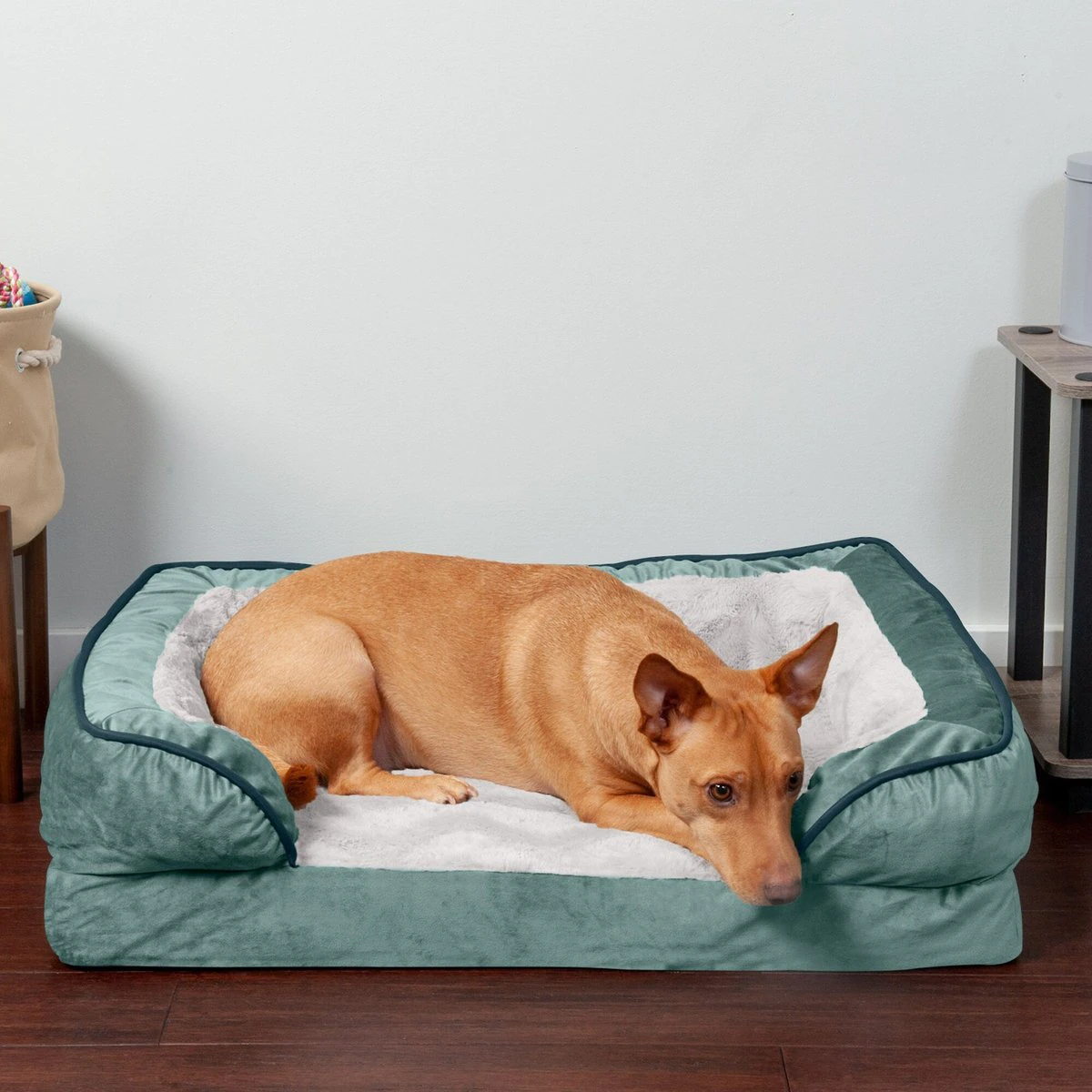 FurHaven Velvet Waves Perfect Comfort Orthopedic Sofa Cat & Dog Bed. Celadon Green. Medium