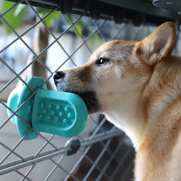 Diggs Groov Turquoise Training Aid. Calming Toy Dog Crate. 5.9″ L X 3.9″ W X 3″ H