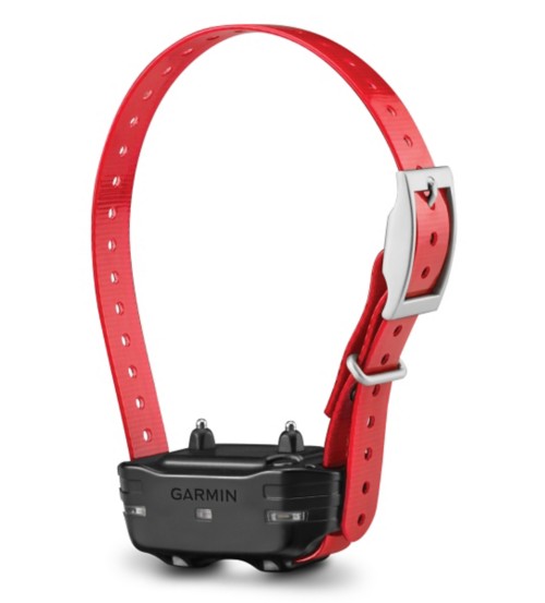 Garmin PT 10 Dog Training Receiver Collar