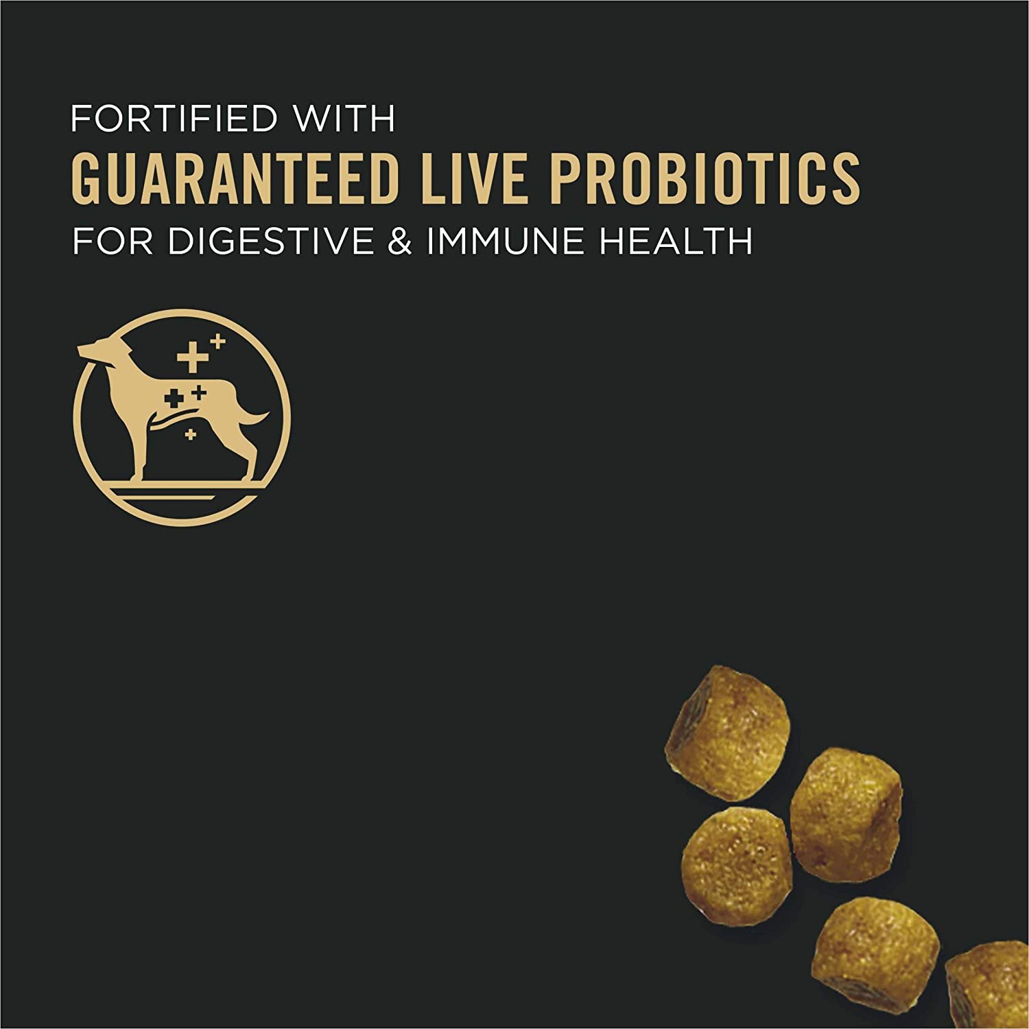 Purina Pro Plan High Protein Toy Breed Dry Puppy Food DHA Chicken and Rice Formula - 5 lb. Bag