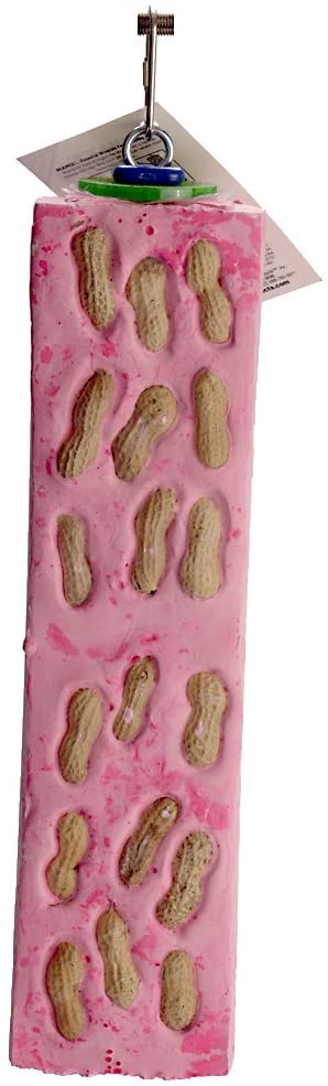 Polly-s Nutty Log Cactus Snack Bird Chew Toy