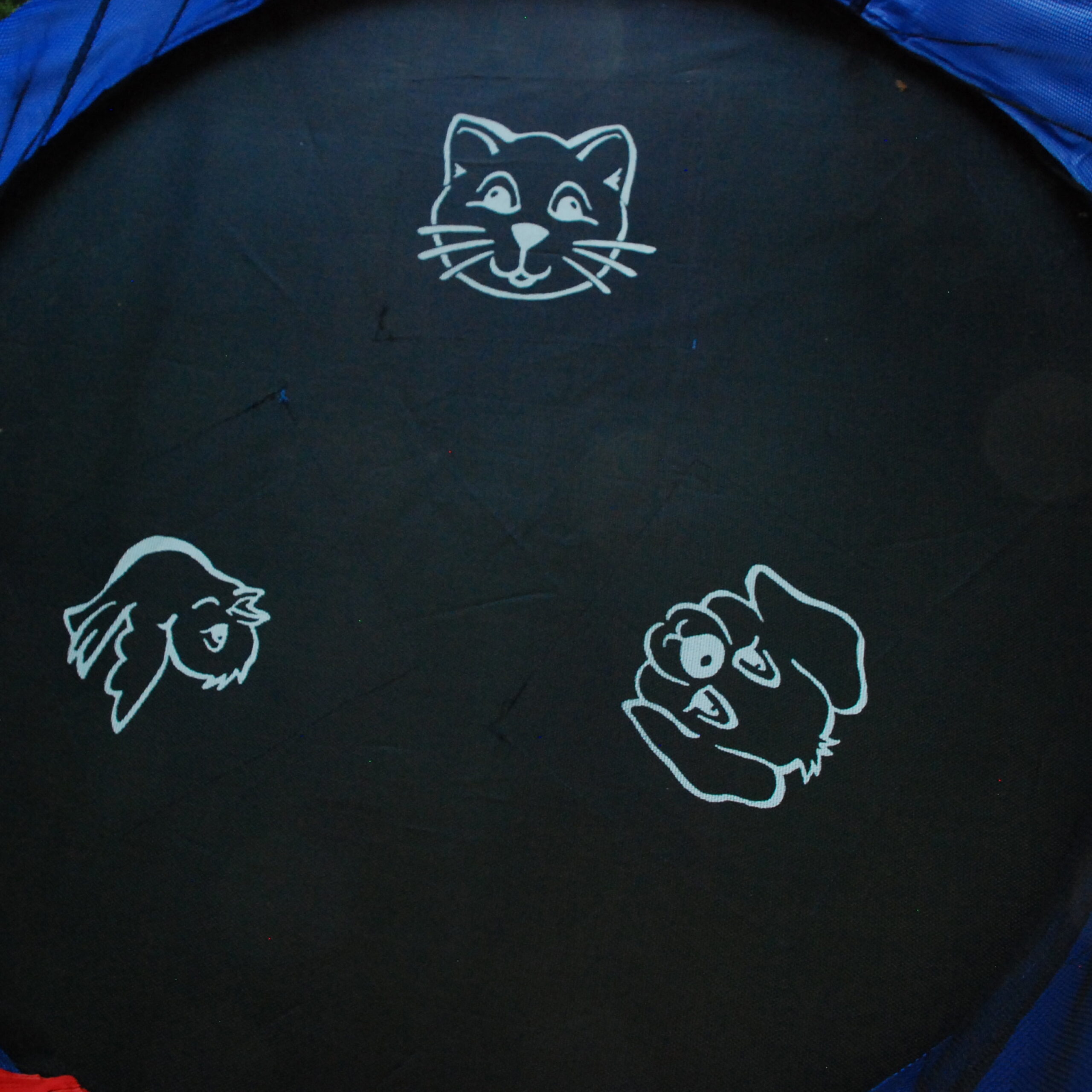 Skywalker Trampolines 55-Inch Bounce-N-Learn Trampoline. with Enclosure and Sound. Blue