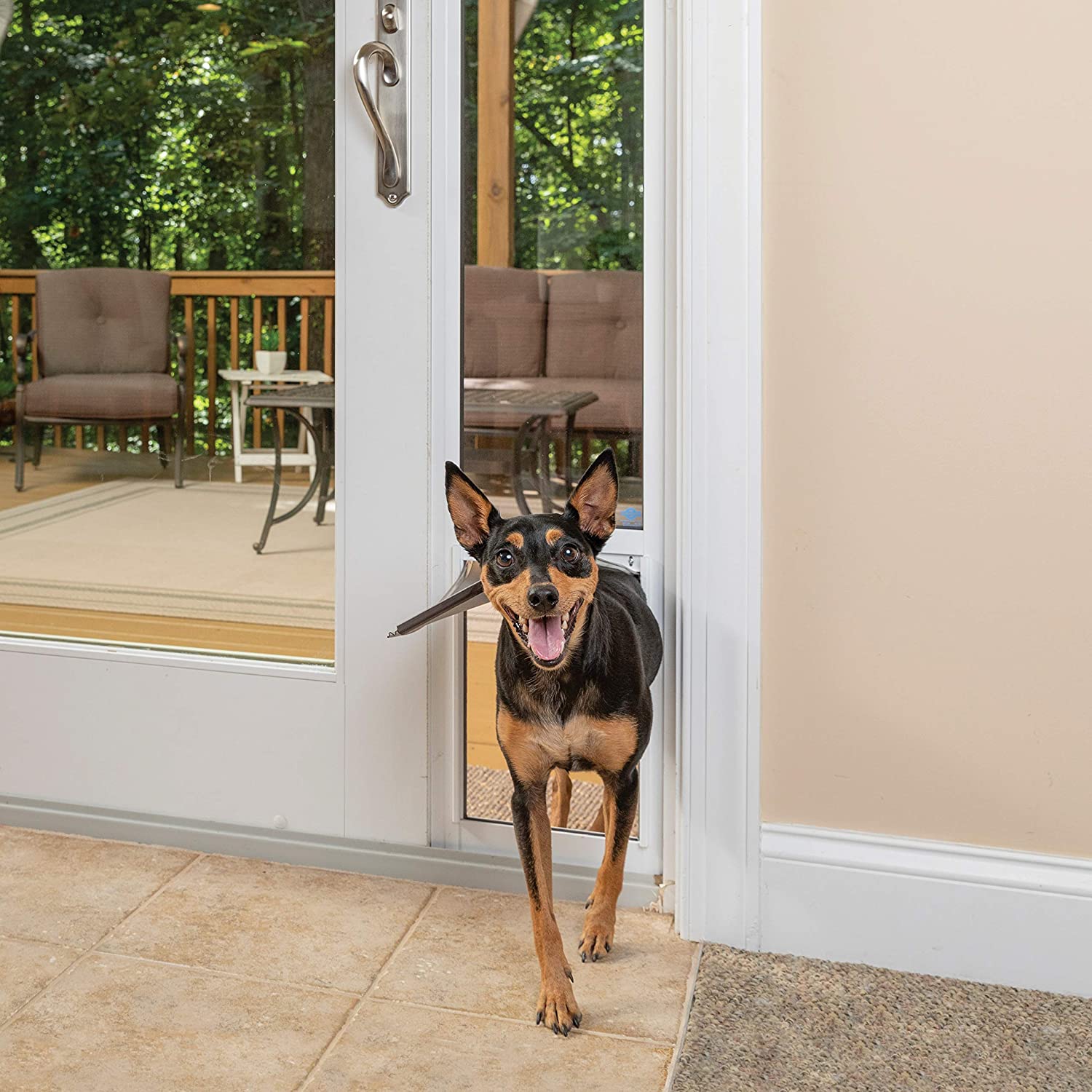 PetSafe PPA11-13135 1-Piece Sliding Glass Pet Door - Outdoor Access Patio Panel Insert for Dogs and Cats. Easy No-Cut Installation. Weather-Resistant Aluminum Insert. Includes Slide-in Closing Panel for Security