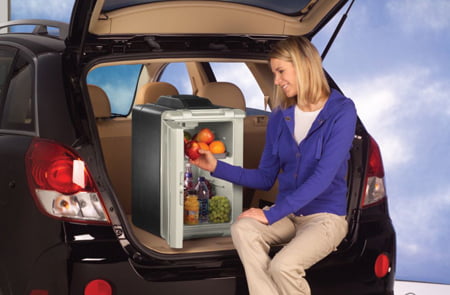 Coleman Company Inc. 3000001497 40 Quart Iceless Thermoelectric Cooler