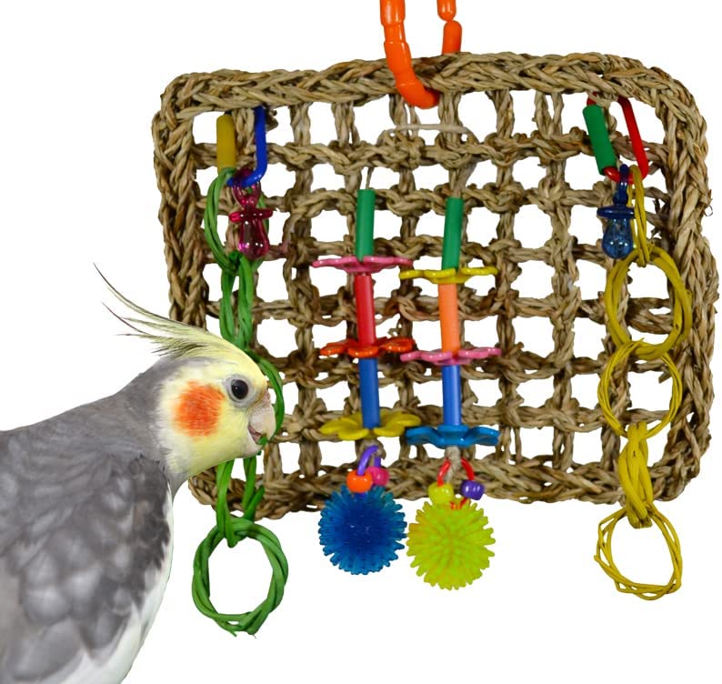 Super Bird Creations SB741 Seagrass Mini Activity Wall Bird Toy. Medium Bird Size. 9 x 7 x 2