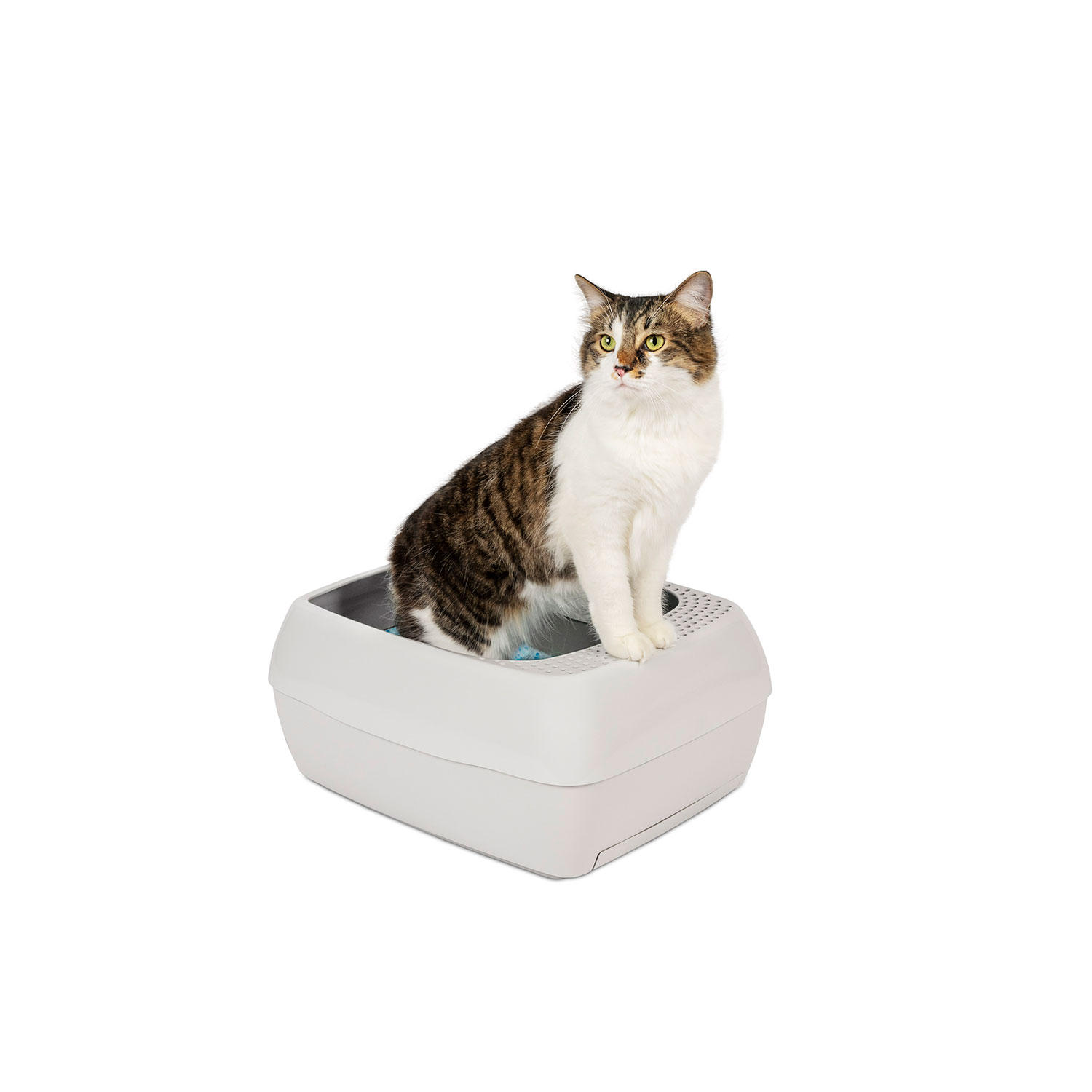 Premier Pet Dual-Fresh Litter Box System for Cats. Easy-to-Clean Cat Litter Box