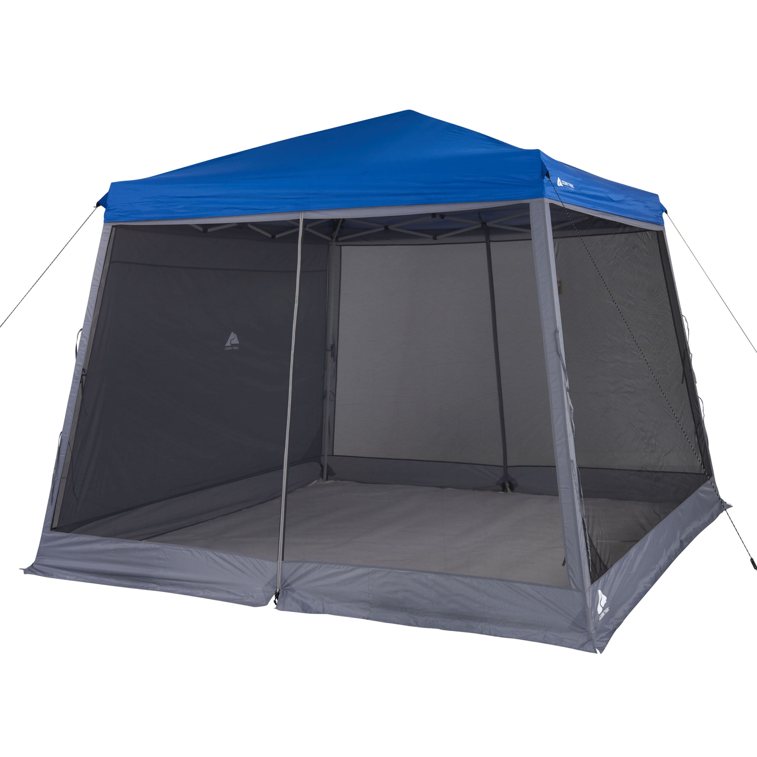 Ozark Trail Slant-Leg Canopy Accessory Pack. Gray (10′ x 10′ Slant-Leg Canopy Sold Separately)