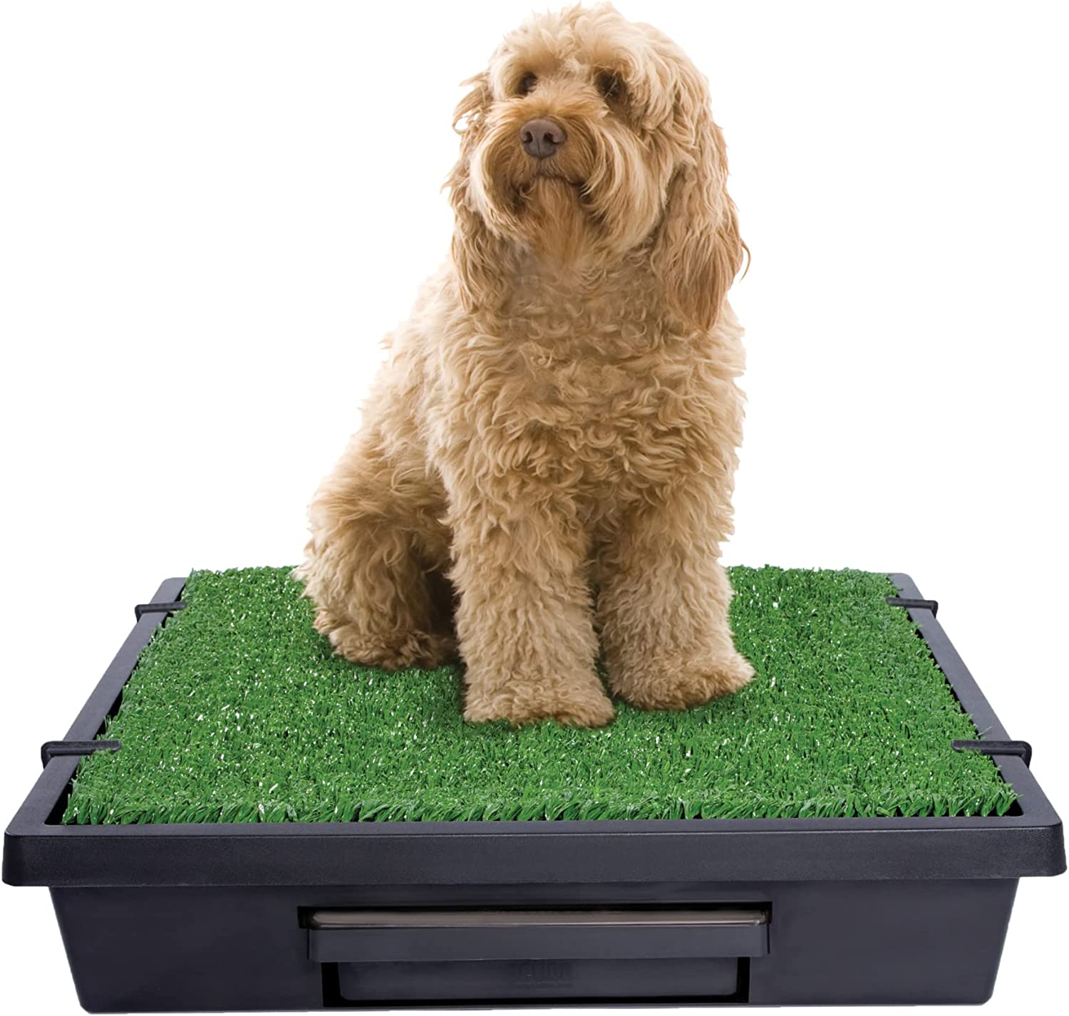 PetSafe Pet Loo Portable Indoor & Outdoor Dog Potty. Medium