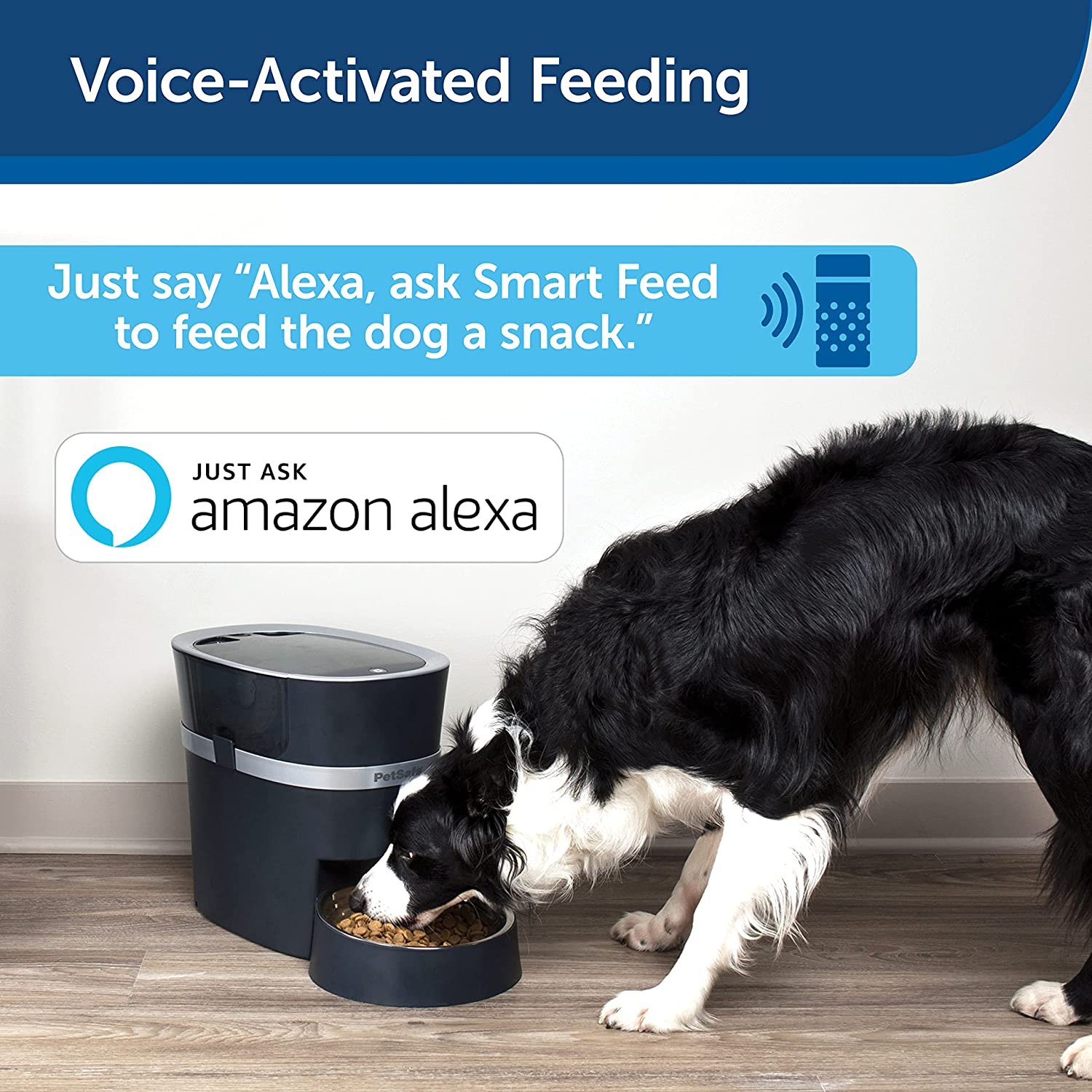 PetSafe Smart Feed Automatic Dog and Cat Feeder. One Size Fits All. Blue