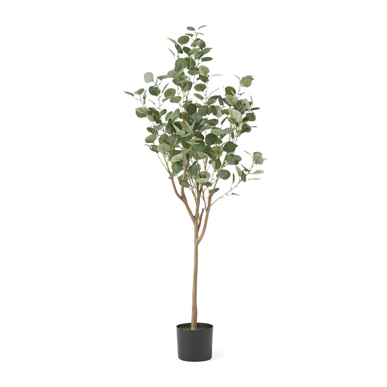 Aanya Faux Eucalyptus Tree in Pot