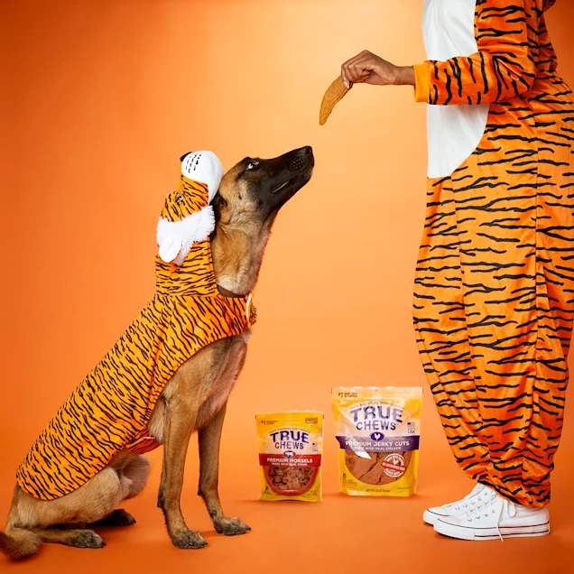 True Chews Premium Morsels Made With Real Steak Dog Treats. 10 oz.