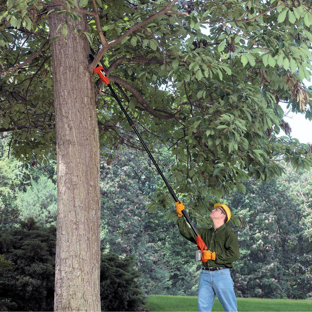 BLACK+DECKER LPP120B 20V MAX 8in. Cordless Battery Powered Pole Saw. Tool Only