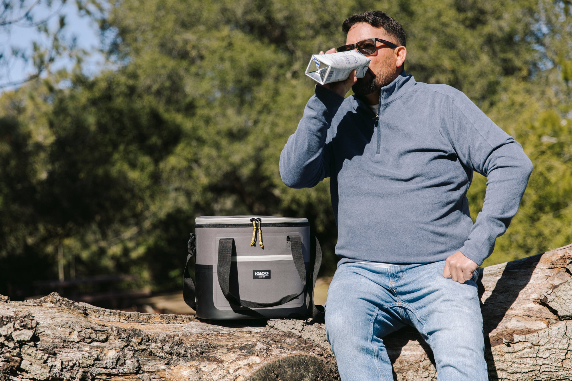 Igloo 18 Can Overland Halo Soft Sided Cooler. Gray