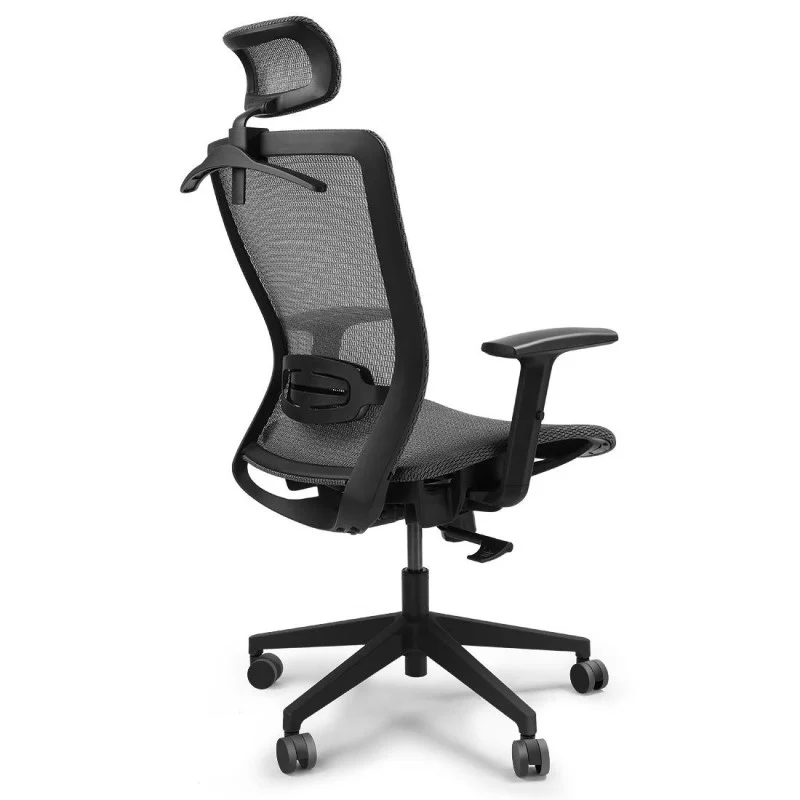 Flexispot Ergonomic Office Chair OC3