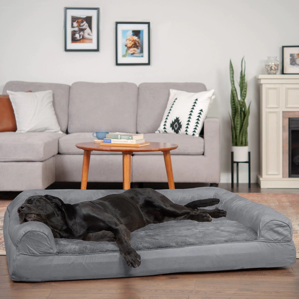 FurHaven Plush & Suede Full Support Orthopedic Sofa Dog & Cat Bed. Gray. Jumbo Plus