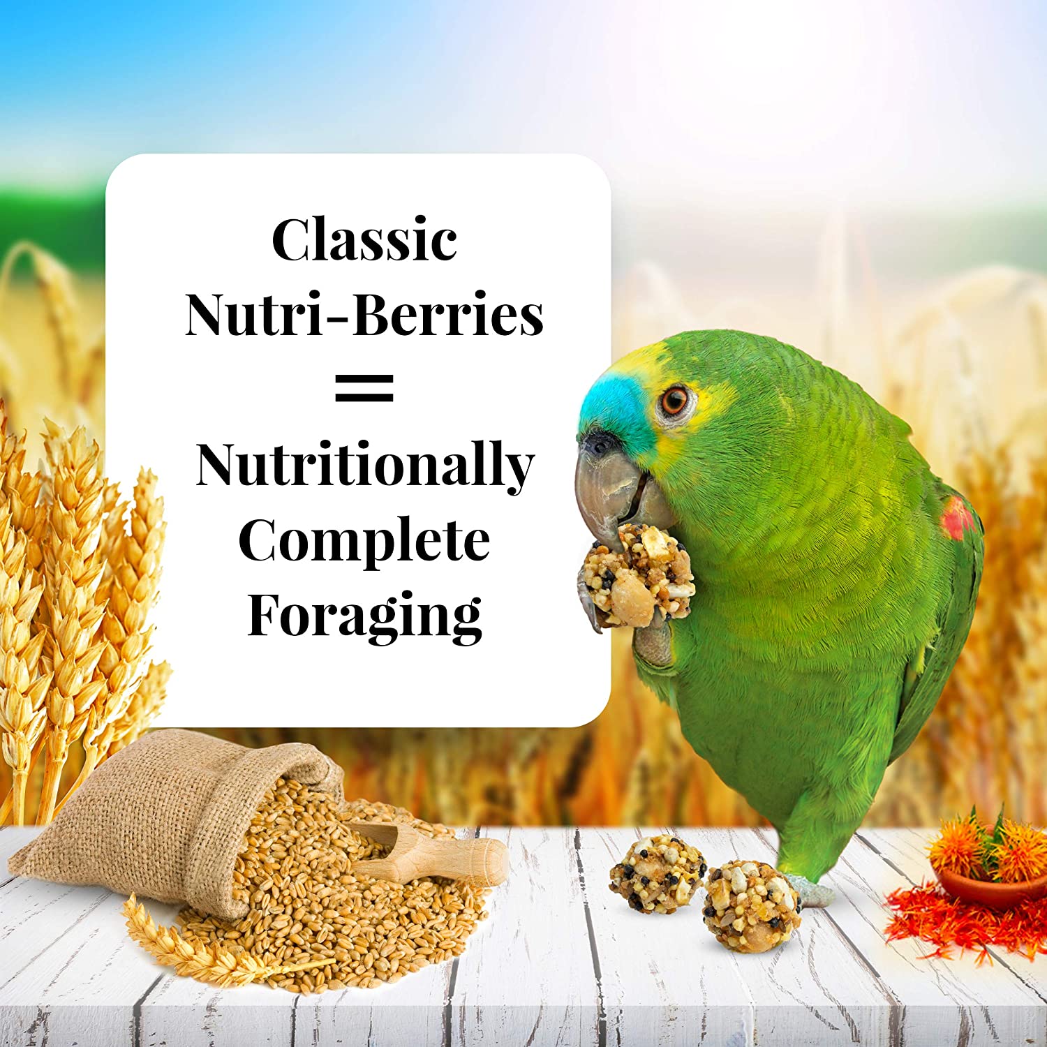 Lafeber Classic Nutri-Berries Parrot Food 3.25 Pound (Pack of 1)