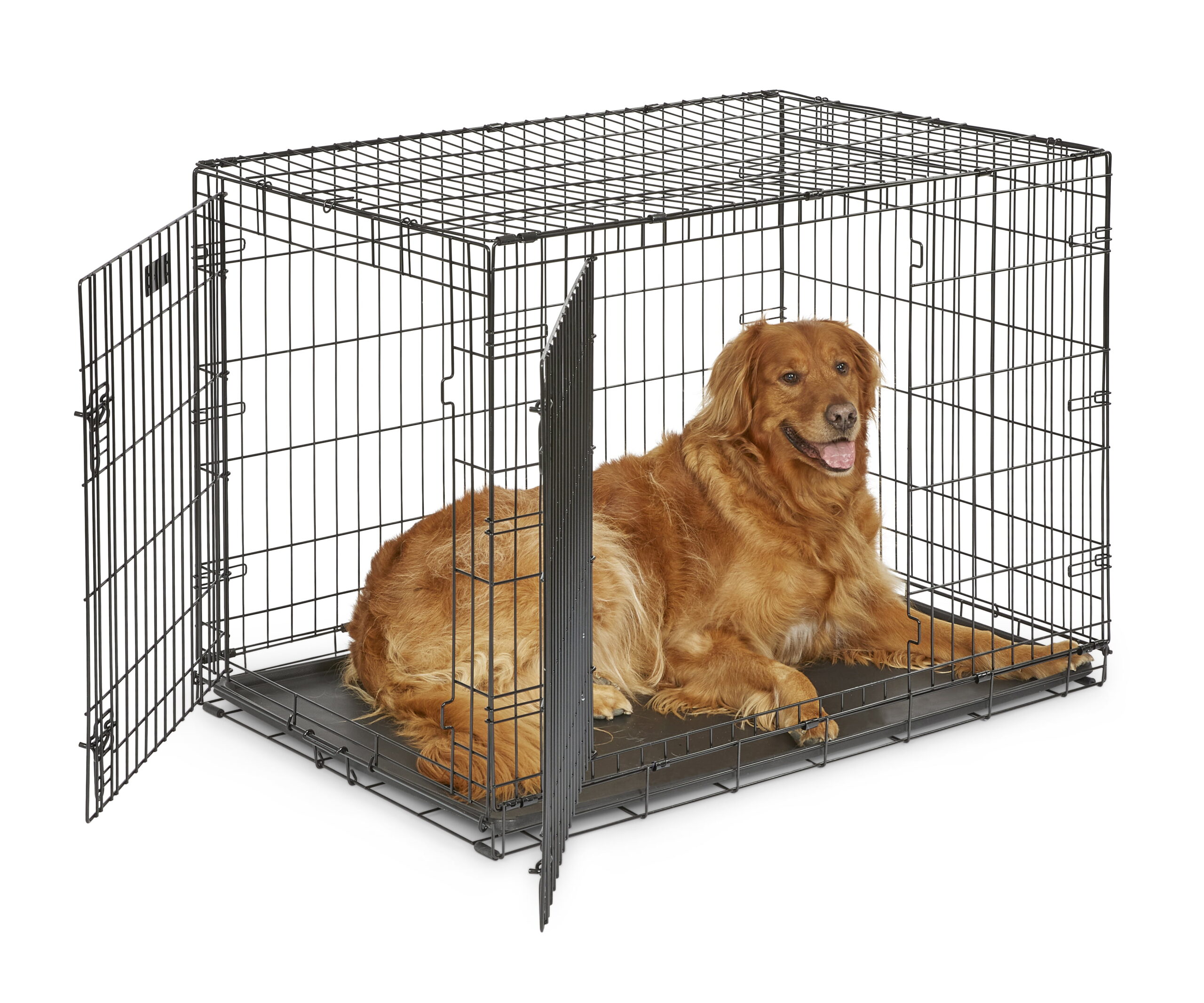 MidWest Homes For Pets Double Door iCrate Metal Dog Crate. 42″
