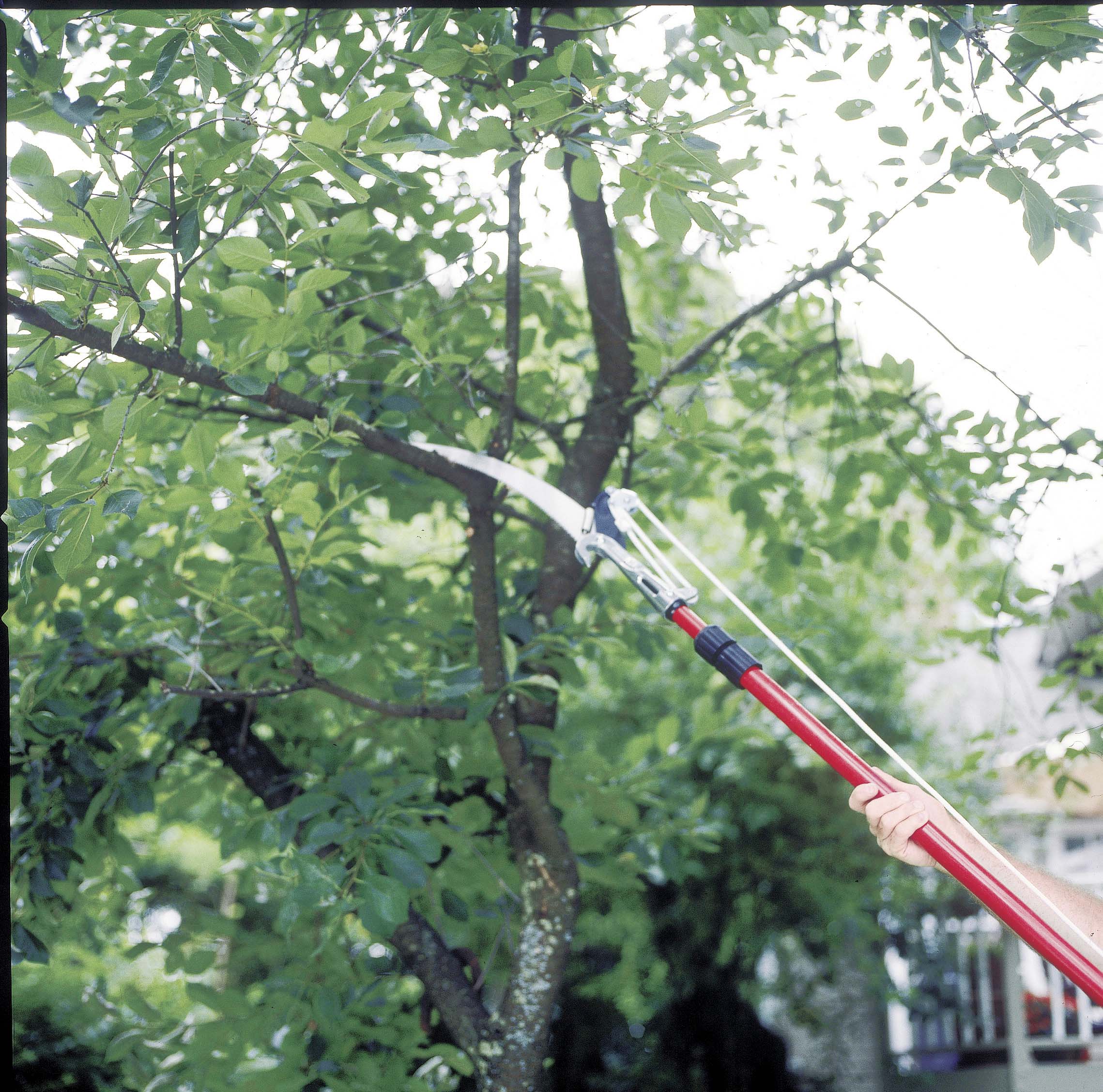 Corona 14-ft Fiberglass Compound Bypass Pole Pruner