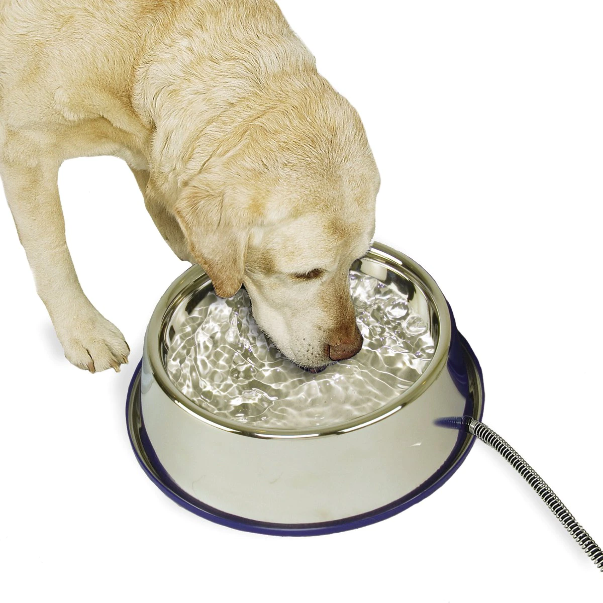 K&H Pet Products Thermal-Bowl Stainless Steel Cat & Dog Bowl. 102-oz