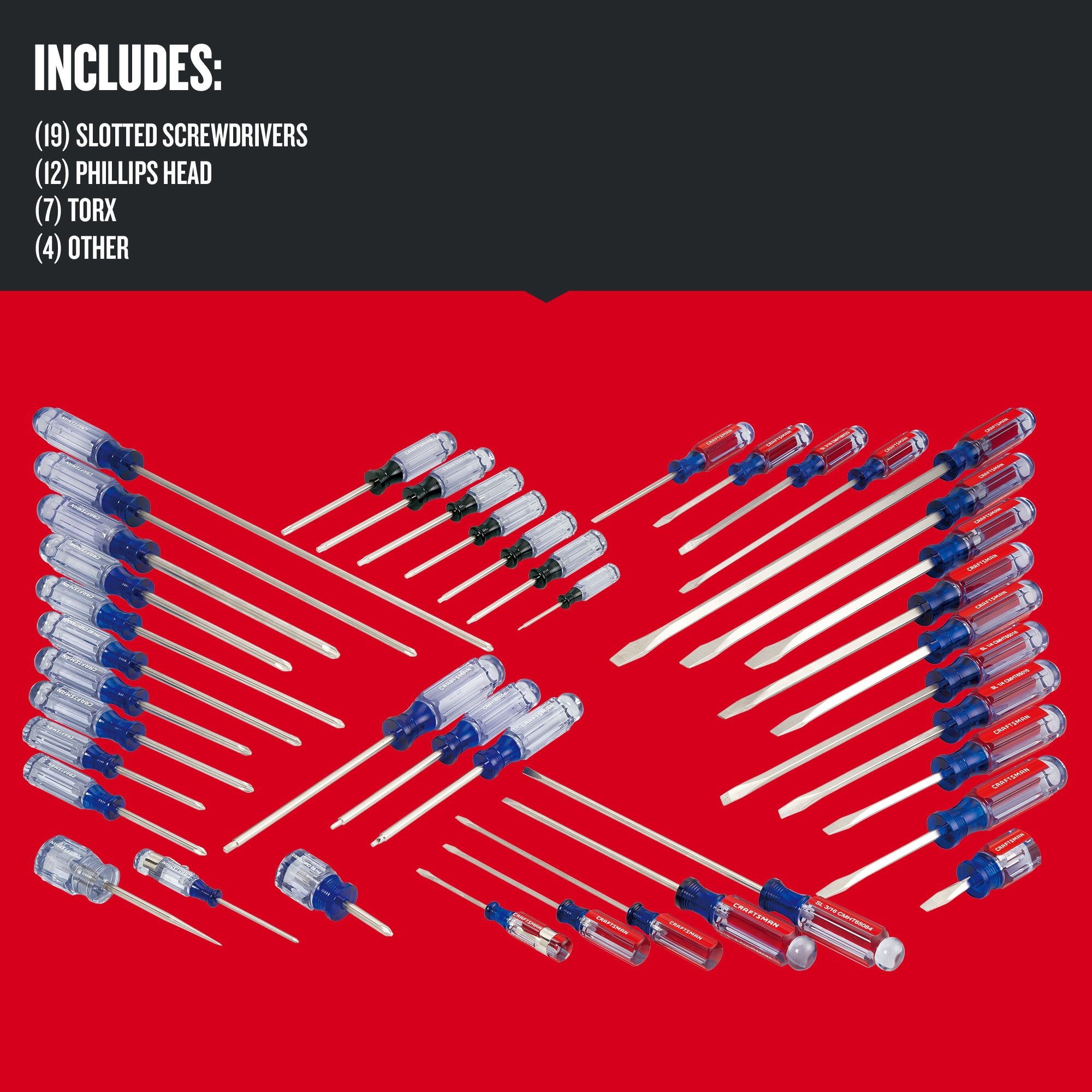 CRAFTSMAN 42-Piece Acetate Handle Assorted Screwdriver Set