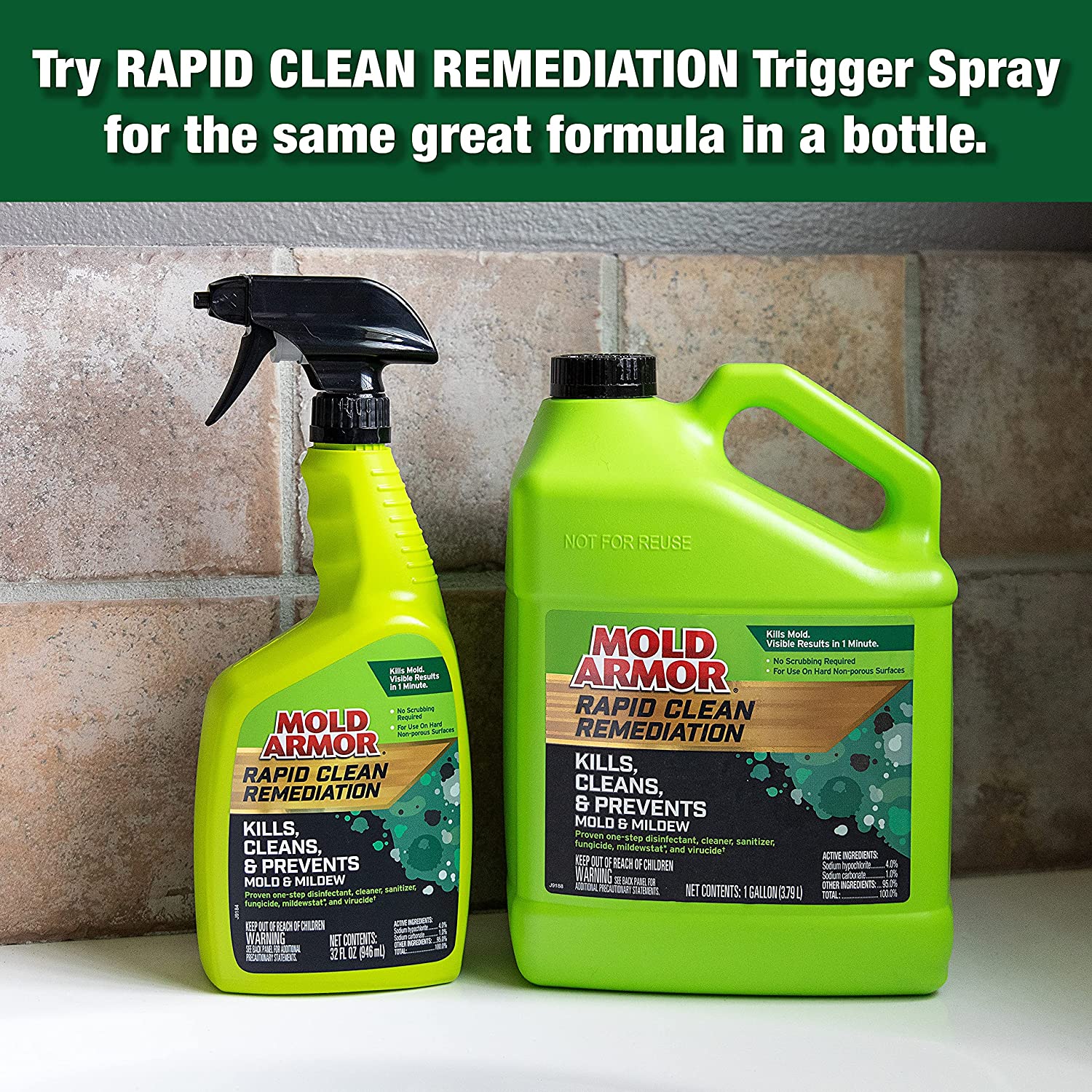 MOLD ARMOR Rapid Clean Remediation. 1 Gallon