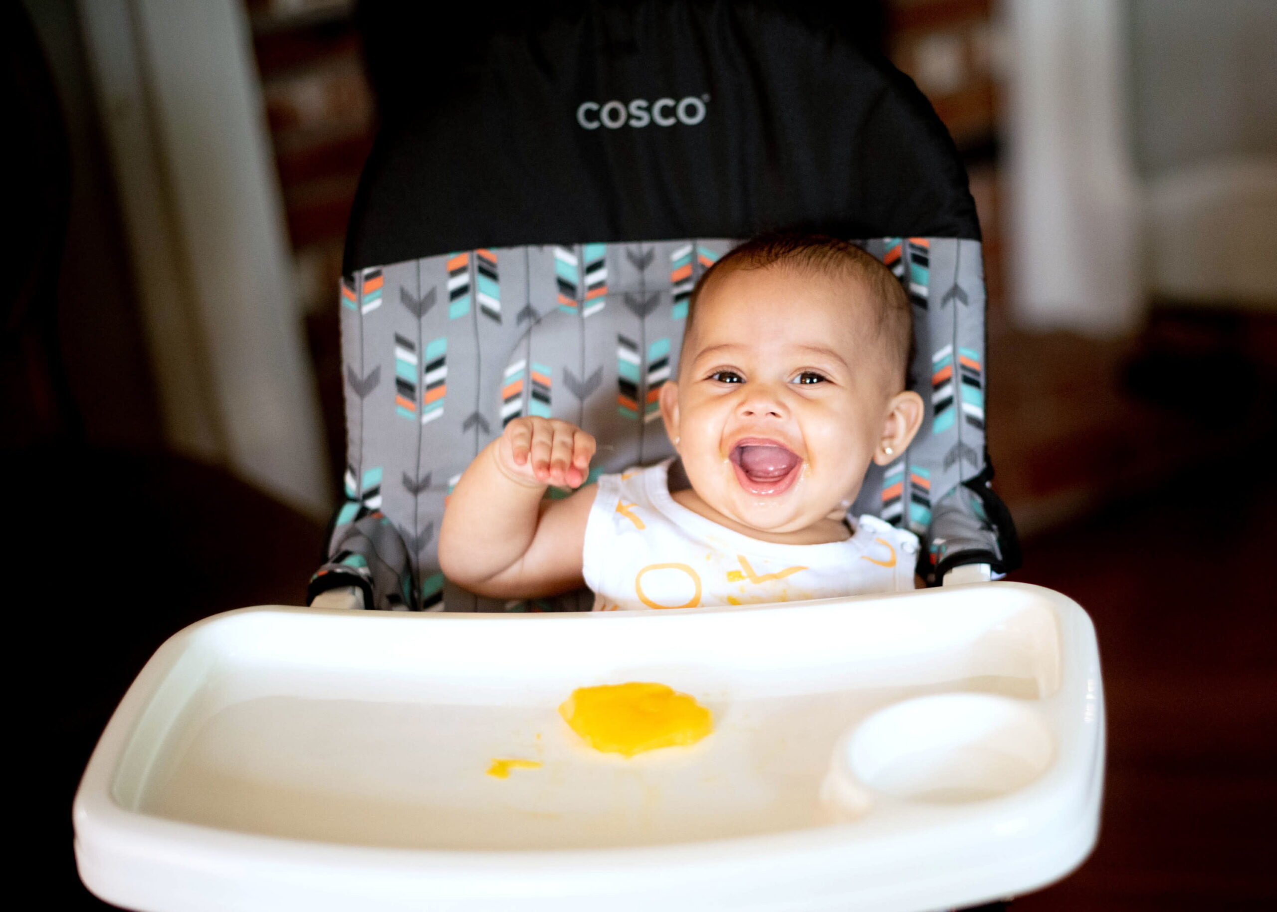 Cosco Simple Fold Full Size High Chair with Adjustable Tray. Lula