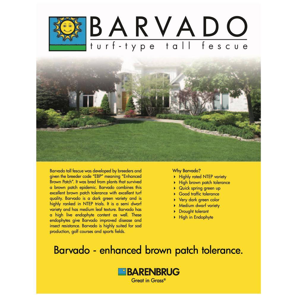 Barenbrug 25079 50 lb. Barvado Tall Fescue Grass Seed