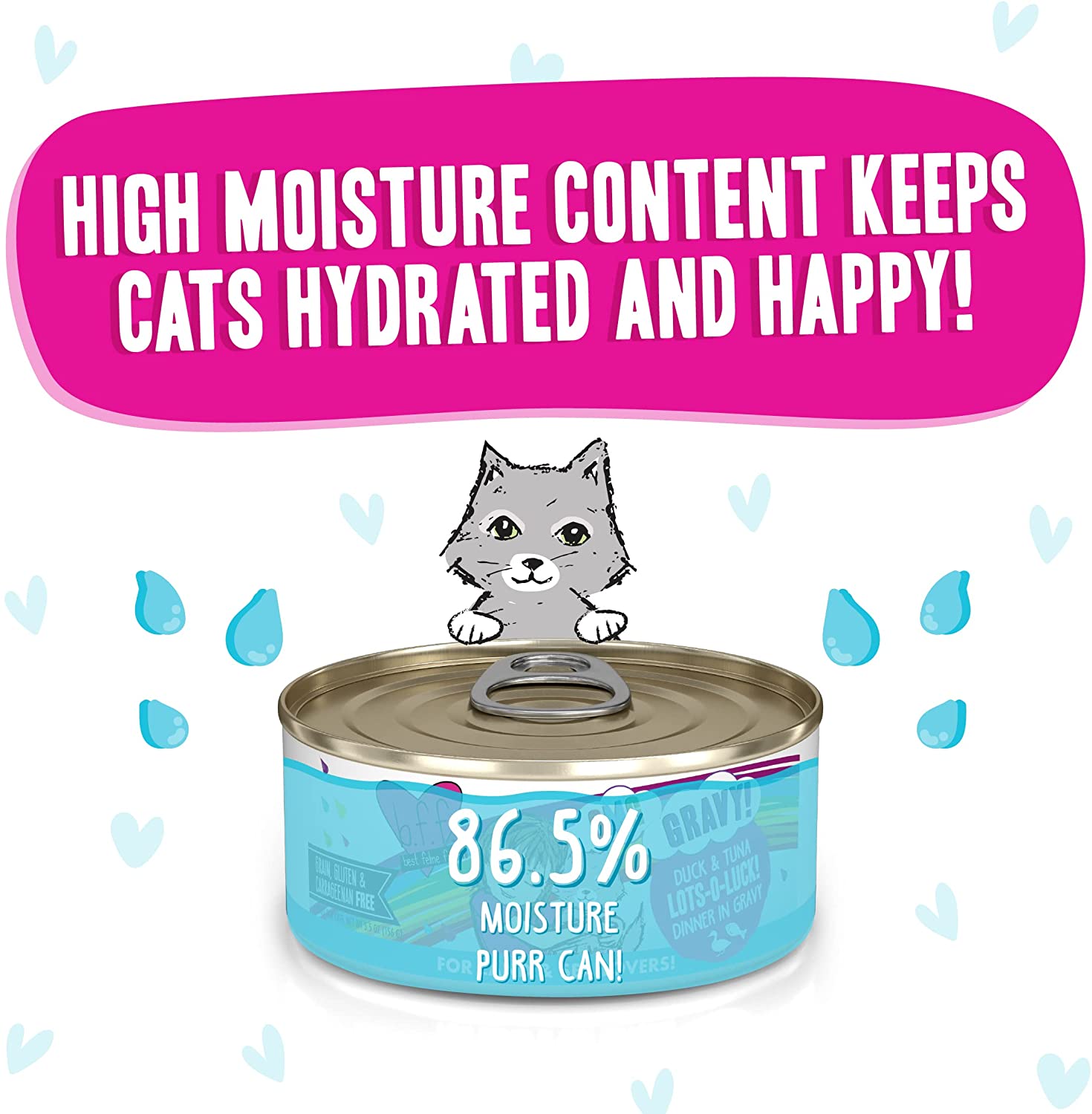 Weruva B.F.F. OMG - Best Feline Friend Oh My Gravy!. Lots-O-Luck! with Duck & Tuna in Gravy Cat Food. 5.5oz Can (Pack of 8)