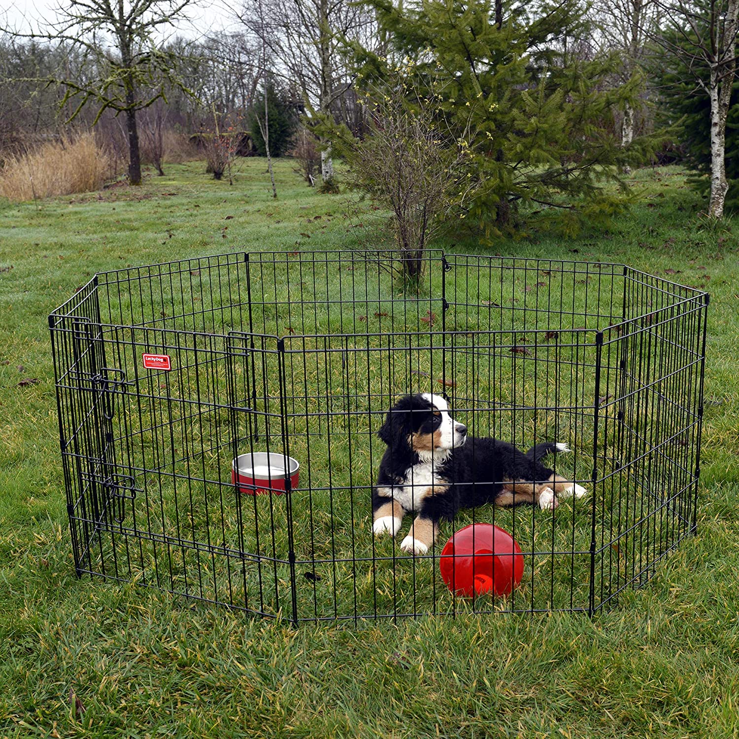 Lucky Dog 24″ H Dog Exercise Pen with Stakes