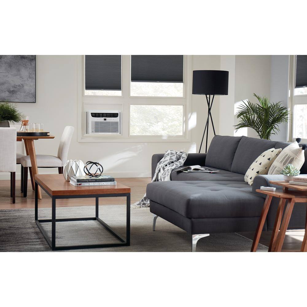 Frigidaire FFRE103WAE 10.000 BTU Window-Mounted Room Air Conditioner
