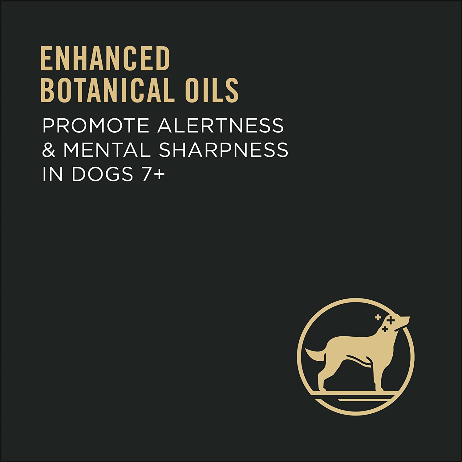 Purina Pro Plan Bright Mind Adult 7+ Chicken & Rice Formula Dry Dog Food 16 lb. Bag