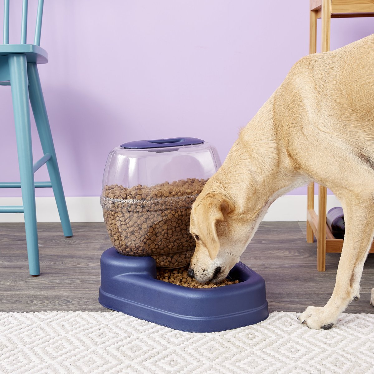 Bergan Gourmet Gravity Refill Dog Feeder. Elite. 104-cup