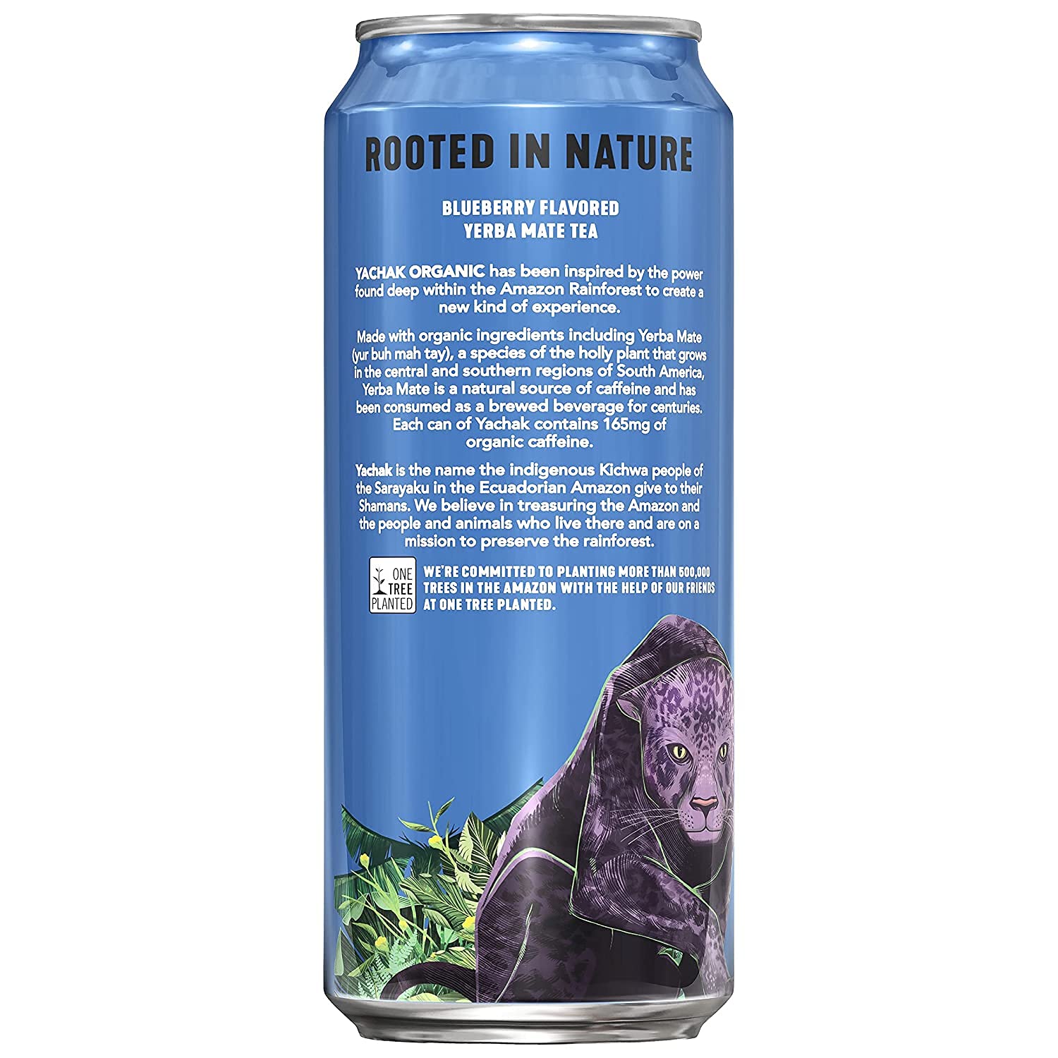 Yachak Yerba Mate. Berry Blue. 16 Oz. Pack of 12