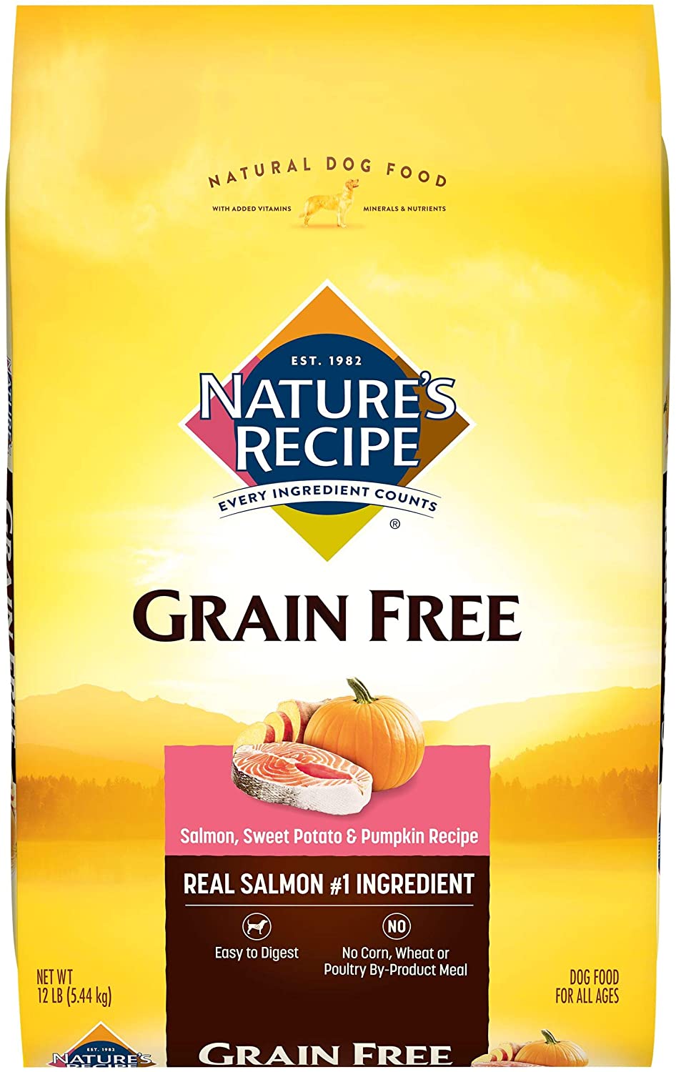 Nature-s Recipe Grain Free Dry Dog Food. Salmon. Sweet Potato & Pumpkin Recipe. 12 Pound Bag. Easy to Digest