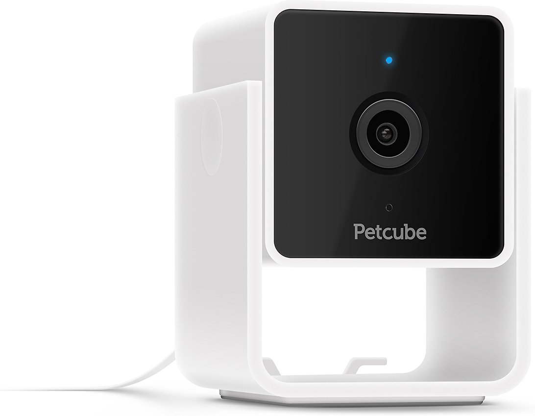 Petcube Cam HD Monitoring With Vet Chat Pet Camera