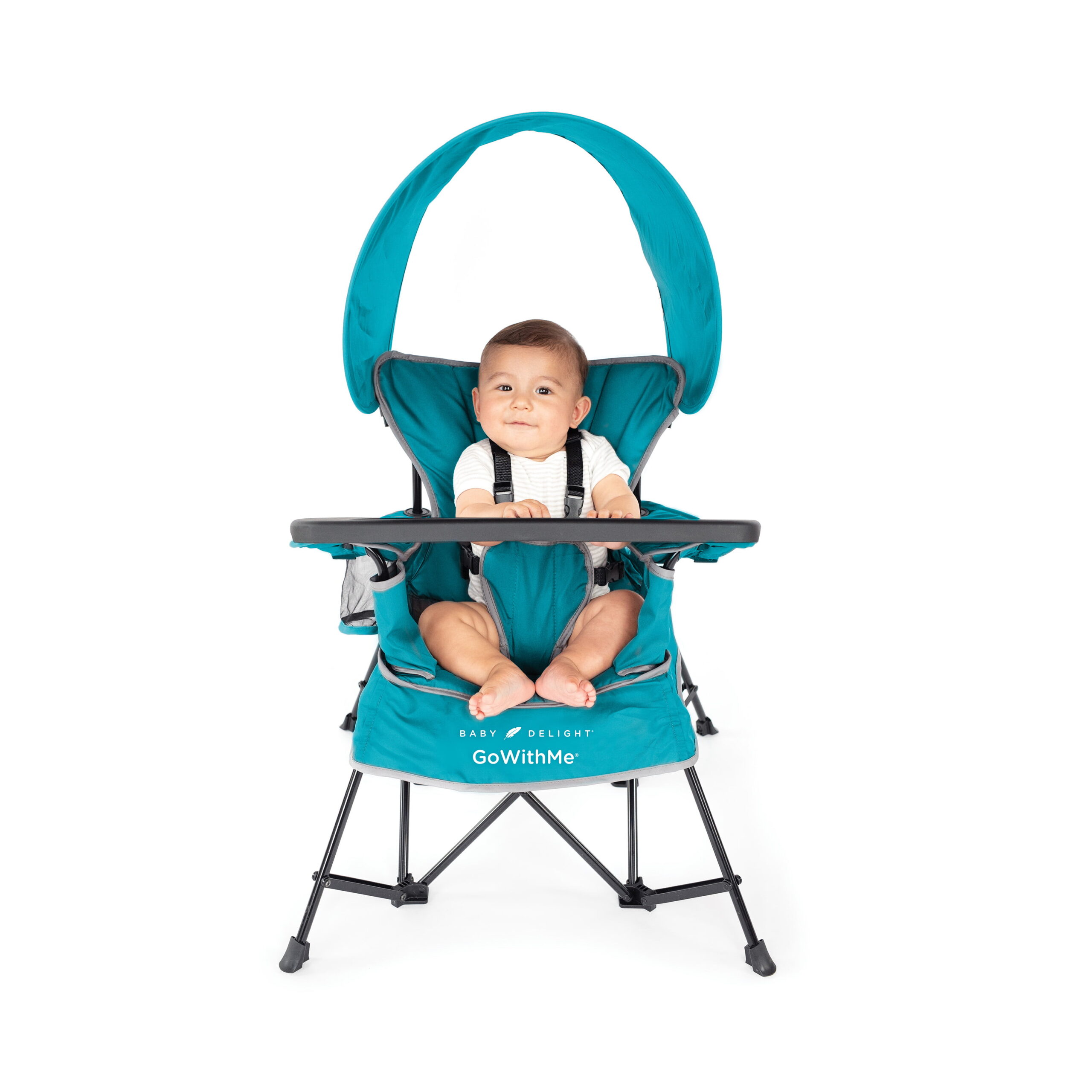 Baby Delight Go With Me Jubilee Deluxe Portable Chair. Teal