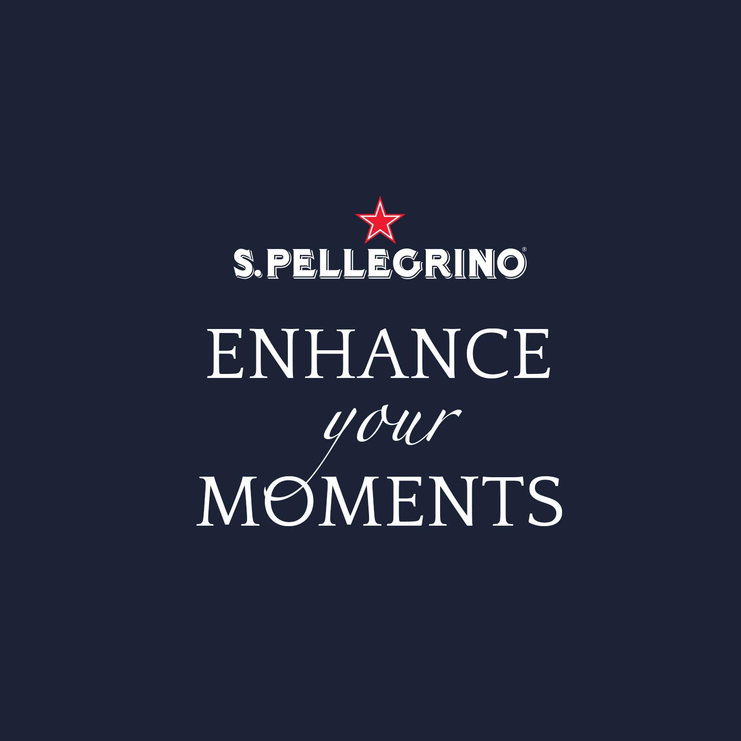 S.Pellegrino Sparkling Natural Mineral Water 16.9 fl oz. (24 Pack)