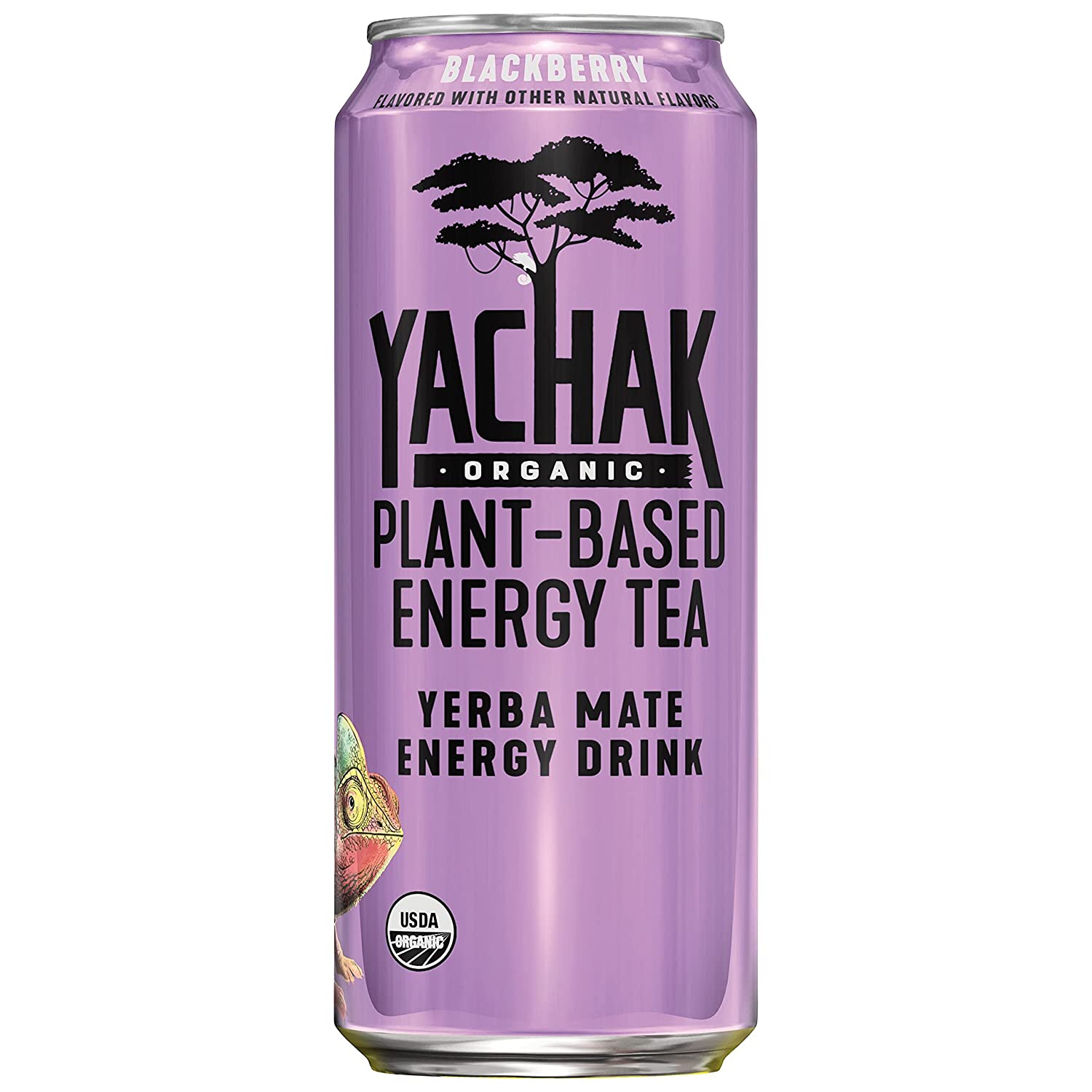 Yachak Yerba Mate Drink. Blackberry. 16 Fl Oz Cans. Pack of 12
